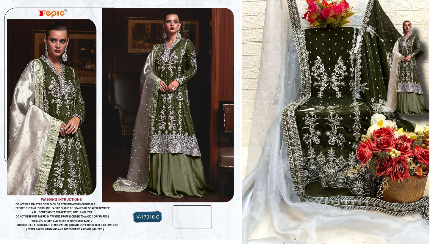 17018C Fepic Pakistani Salwar Suits
