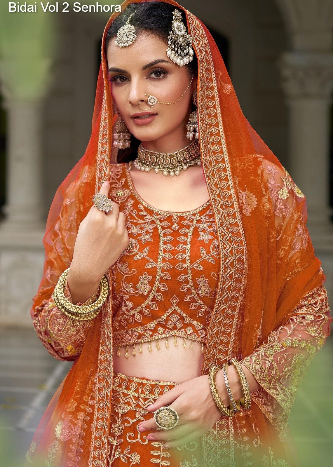 4007-C Bidai Vol 2 Senhora Butterfly Net Lehenga Choli
