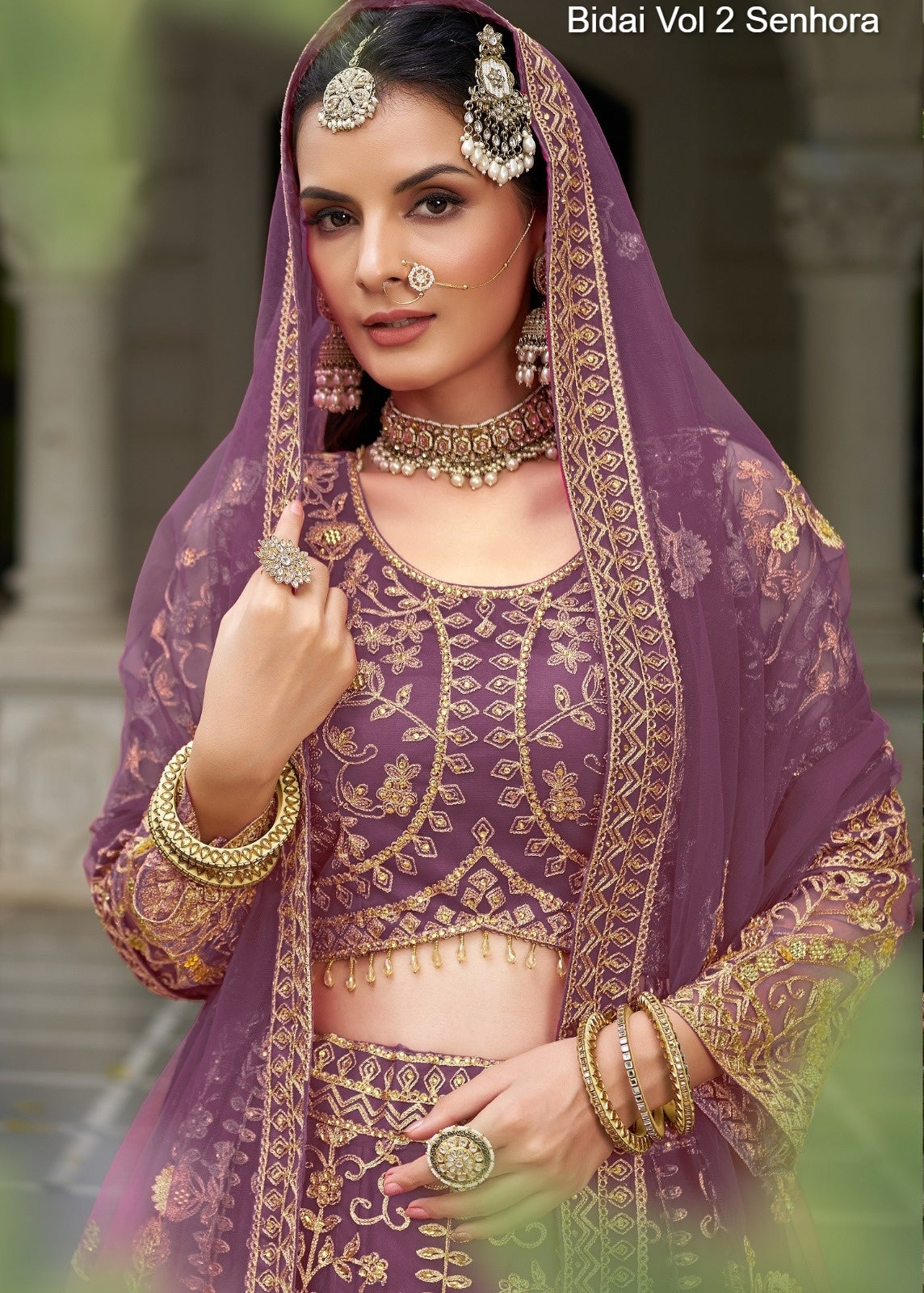4007-D Bidai Vol 2 Senhora Butterfly Net Lehenga Choli