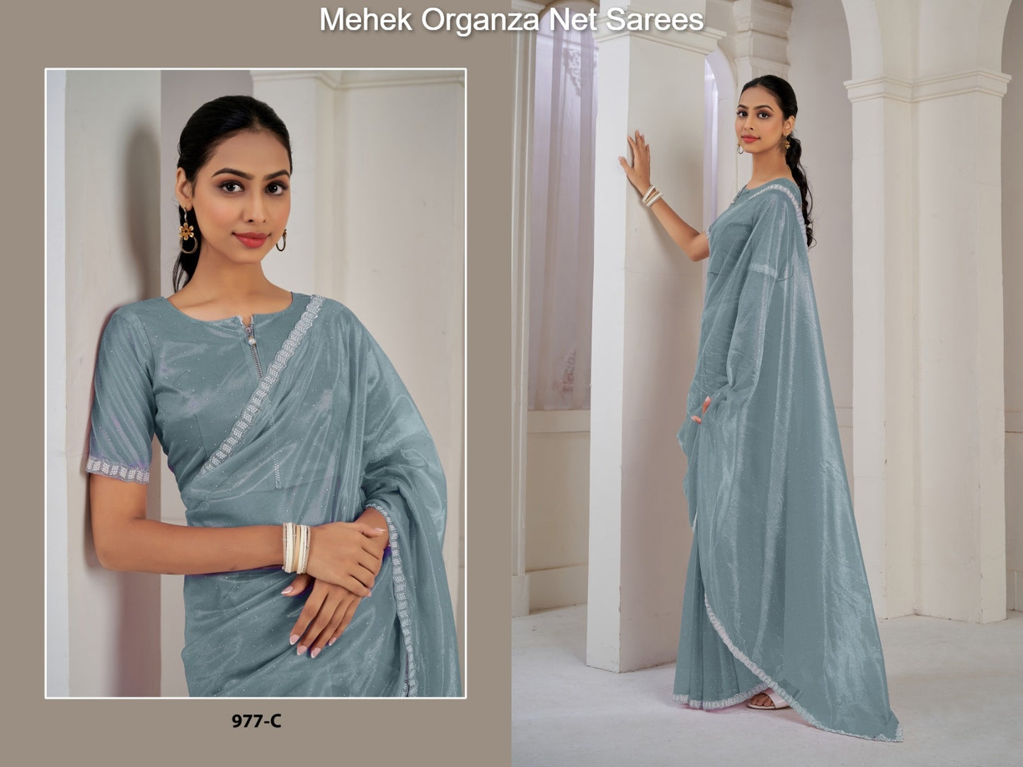 977C Mehek Organza Net Sarees
