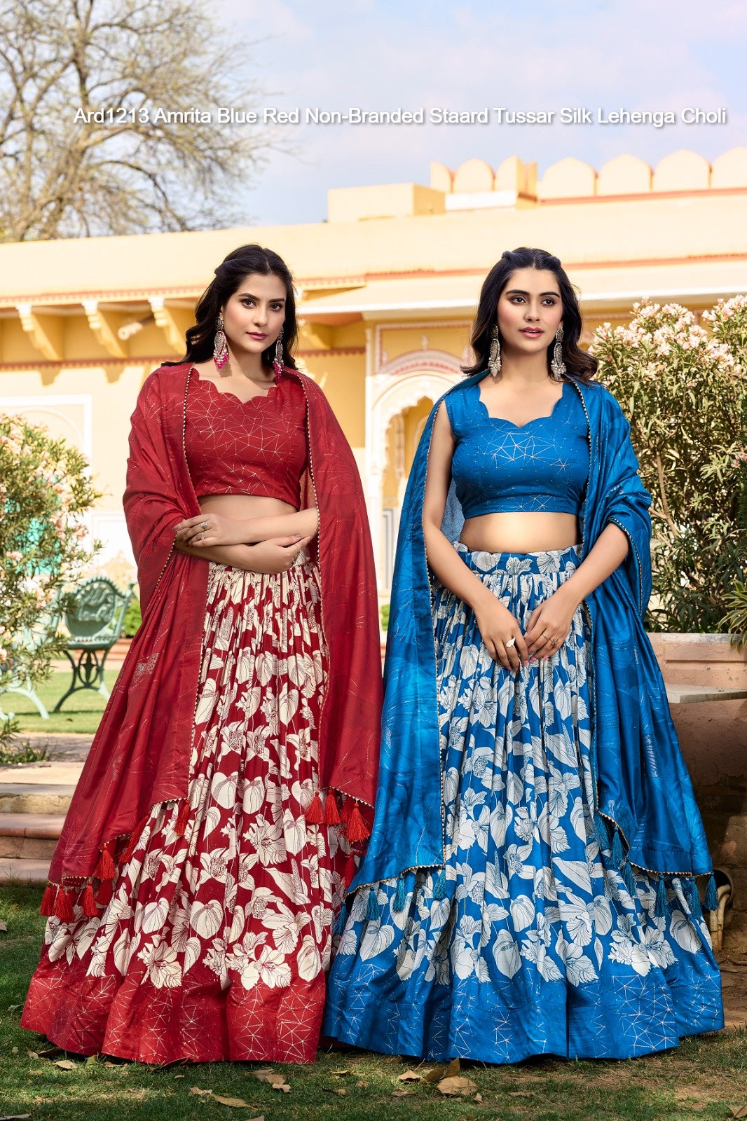 Ard1213 Amrita Blue Red Non-Branded Staard Tussar Silk Lehenga Choli