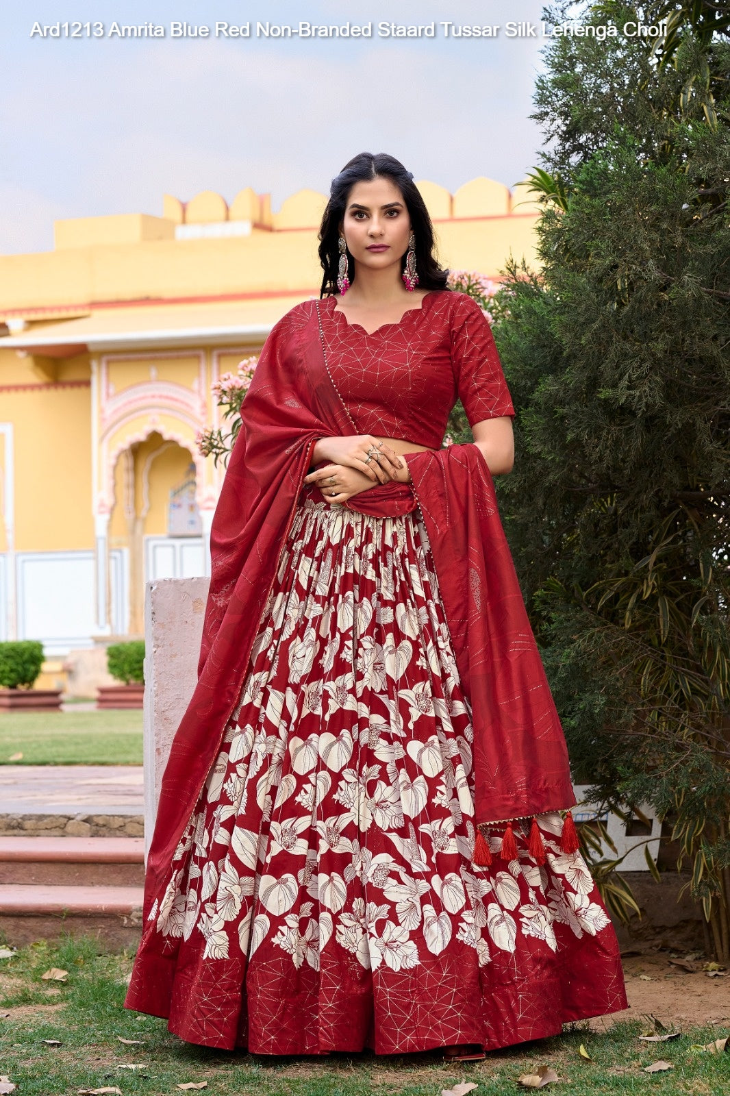Ard1213 Amrita Blue Red Non-Branded Staard Tussar Silk Lehenga Choli