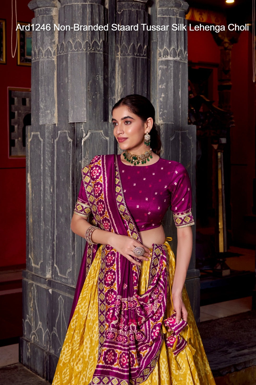 Ard1246 Non-Branded Staard Tussar Silk Lehenga Choli
