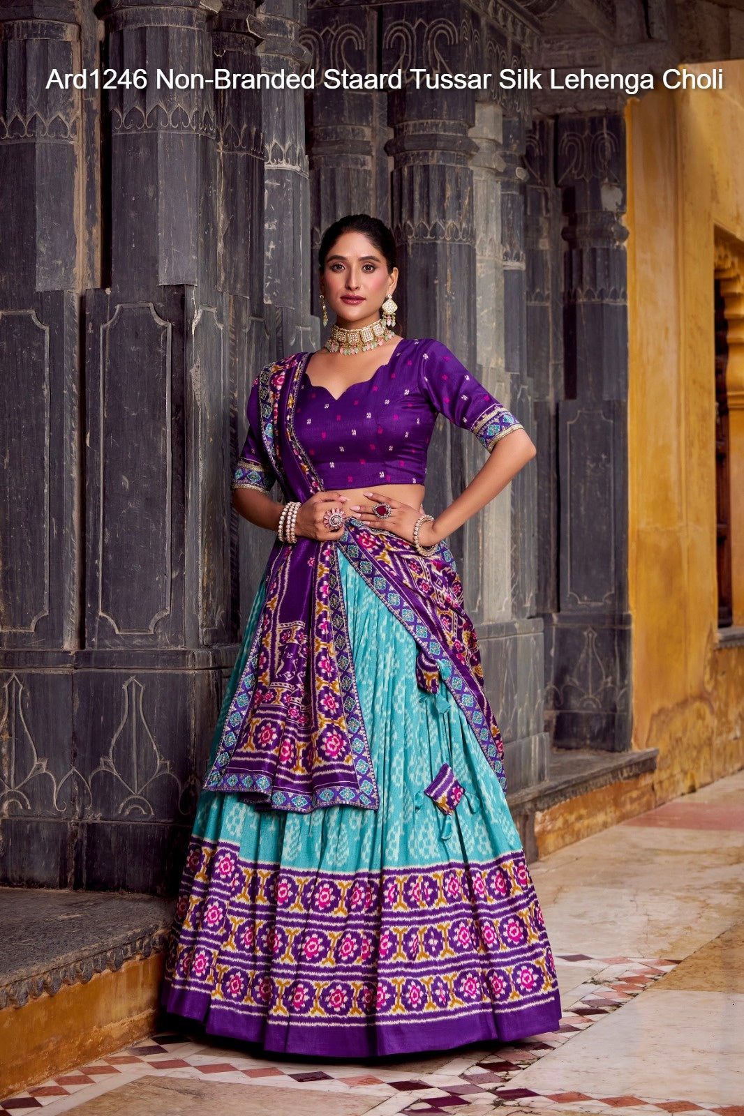 Ard1246 Non-Branded Staard Tussar Silk Lehenga Choli