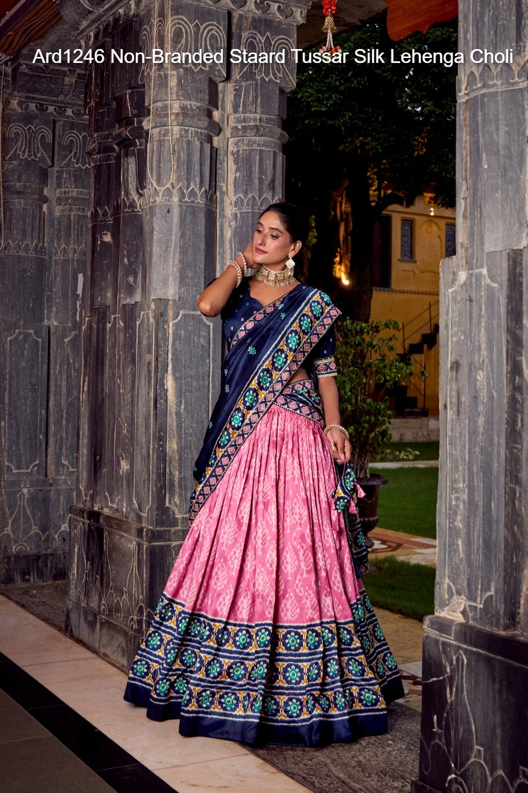 Ard1246 Non-Branded Staard Tussar Silk Lehenga Choli
