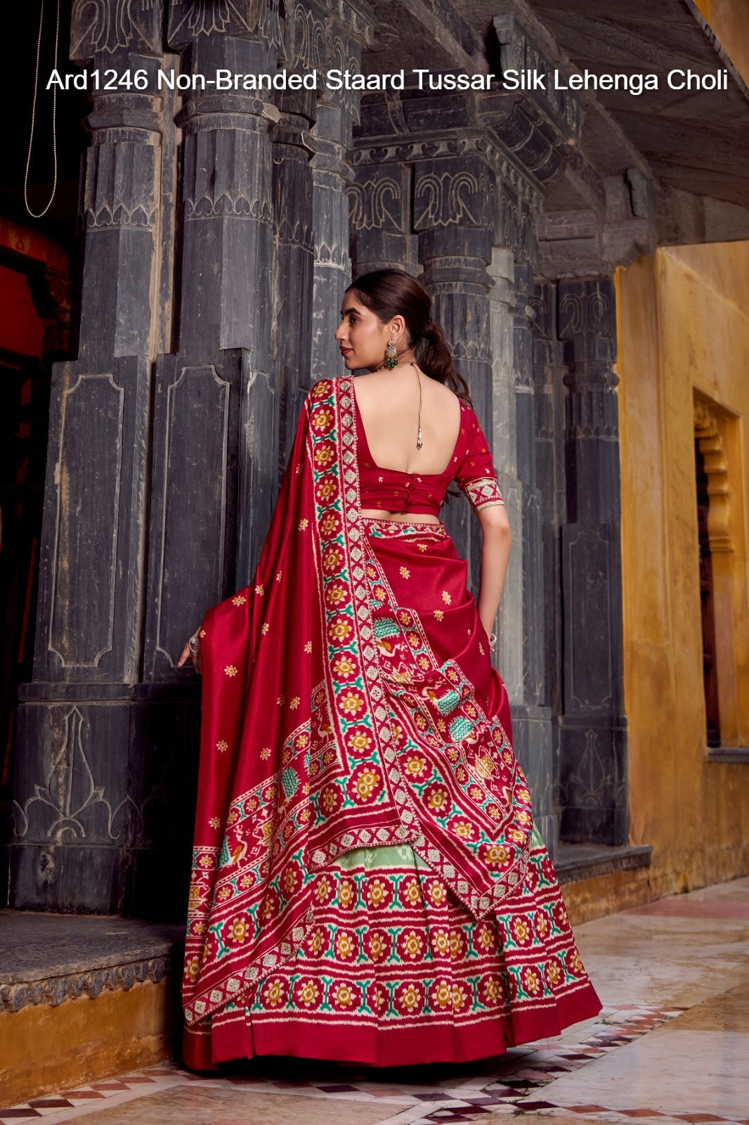 Ard1246 Non-Branded Staard Tussar Silk Lehenga Choli