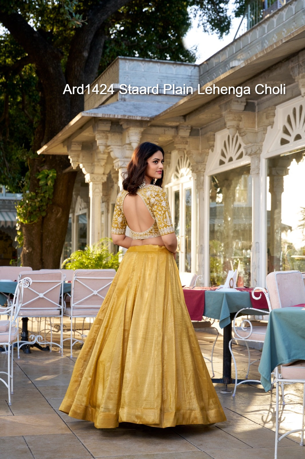 Ard1424 Staard Plain Lehenga Choli