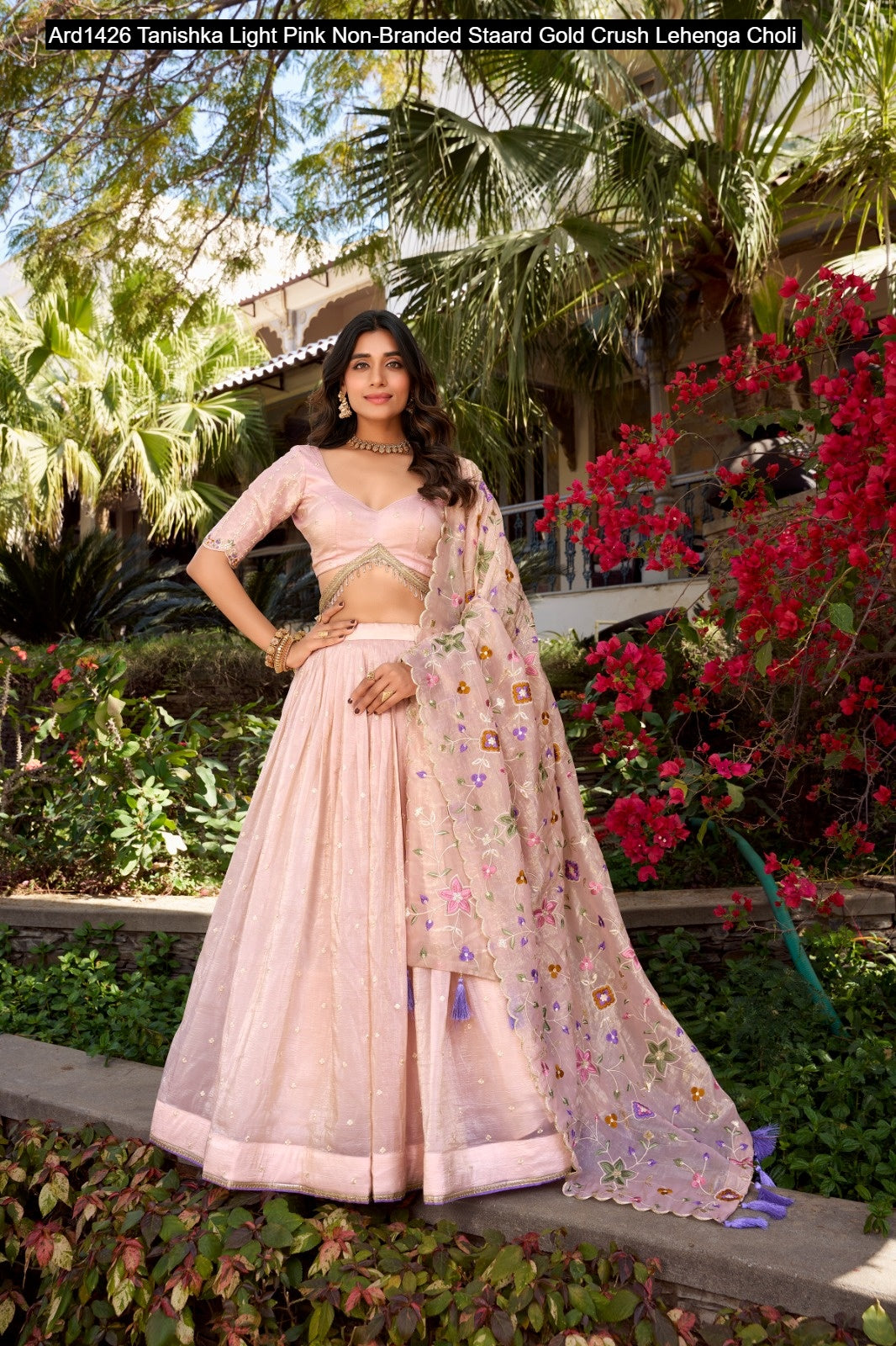 Ard1426 Tanishka Light Pink Non-Branded Staard Gold Crush Lehenga Choli