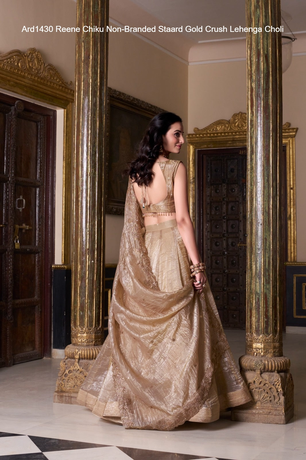 Ard1430 Reene Chiku Non-Branded Staard Gold Crush Lehenga Choli