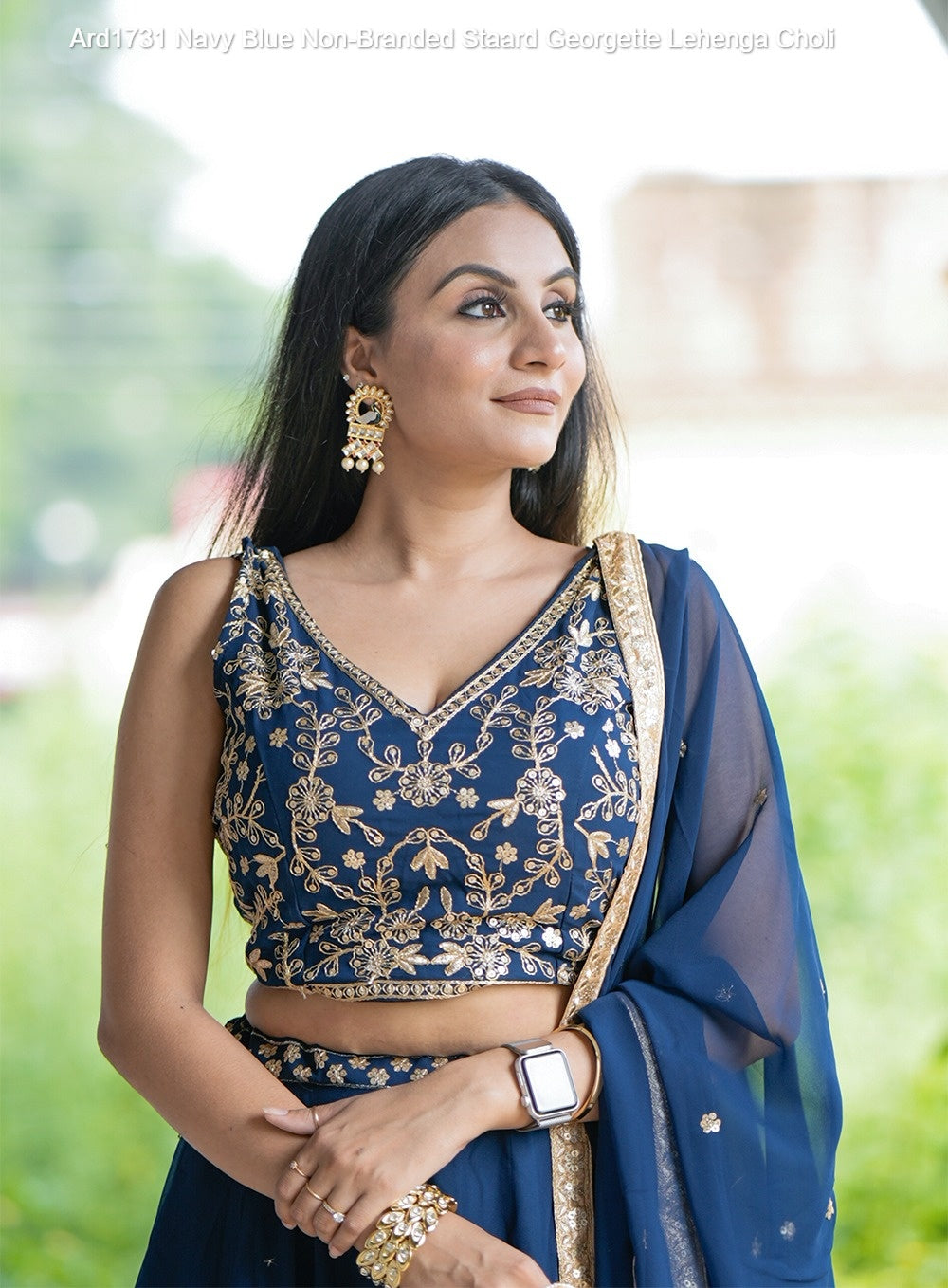 Ard1731 Navy Blue Non-Branded Staard Georgette Lehenga Choli