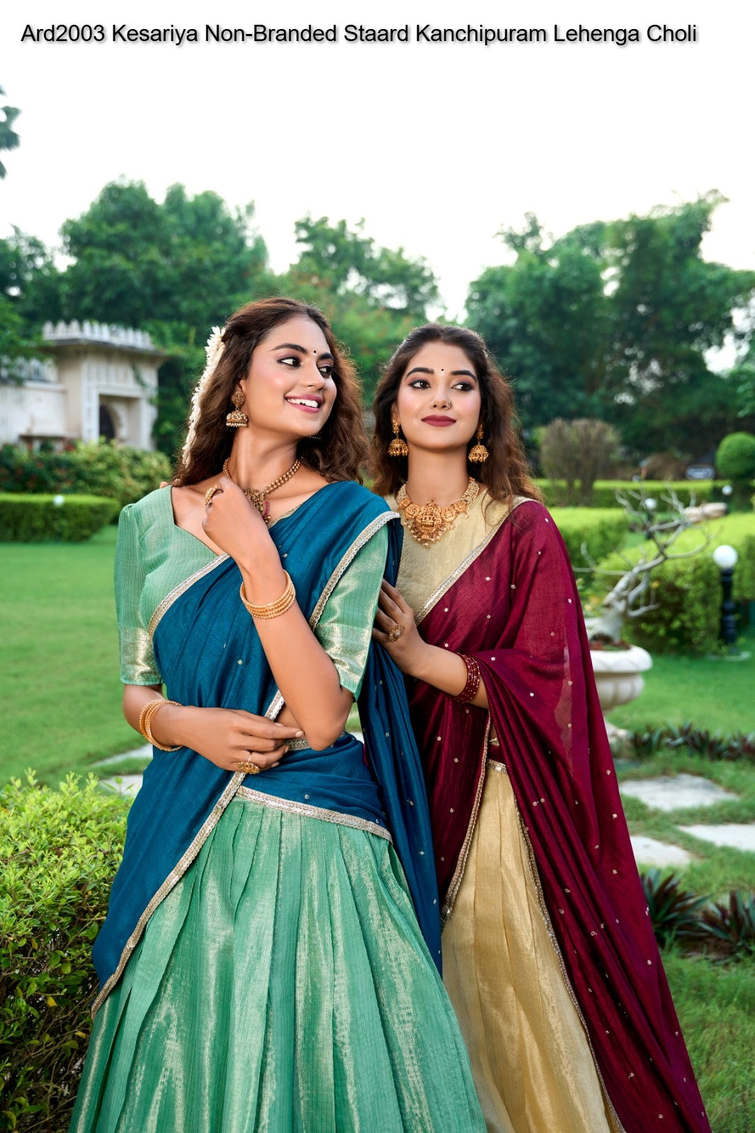 Ard2003 Kesariya Non-Branded Staard Kanchipuram Lehenga Choli