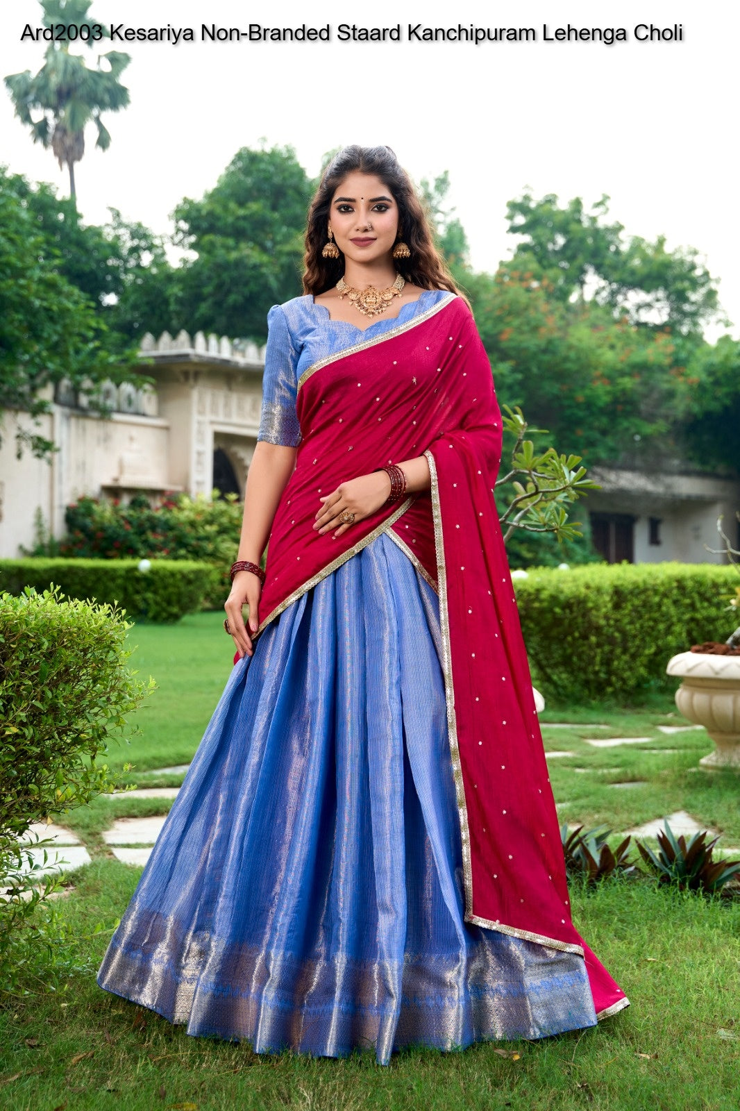 Ard2003 Kesariya Non-Branded Staard Kanchipuram Lehenga Choli