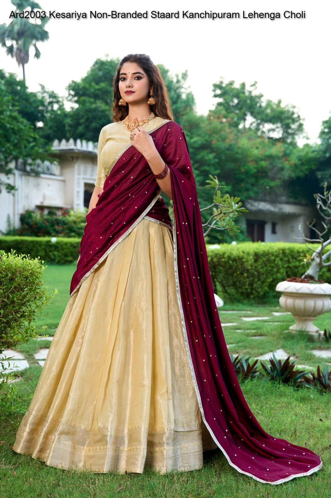 Ard2003 Kesariya Non-Branded Staard Kanchipuram Lehenga Choli