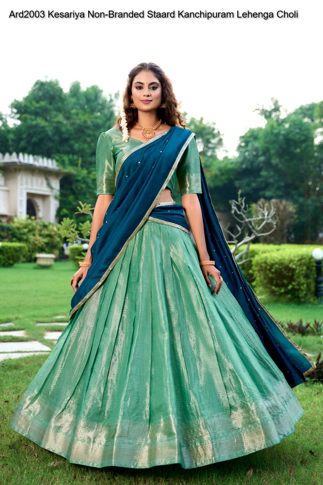 Ard2003 Kesariya Non-Branded Staard Kanchipuram Lehenga Choli