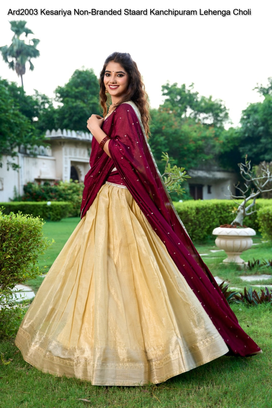 Ard2003 Kesariya Non-Branded Staard Kanchipuram Lehenga Choli