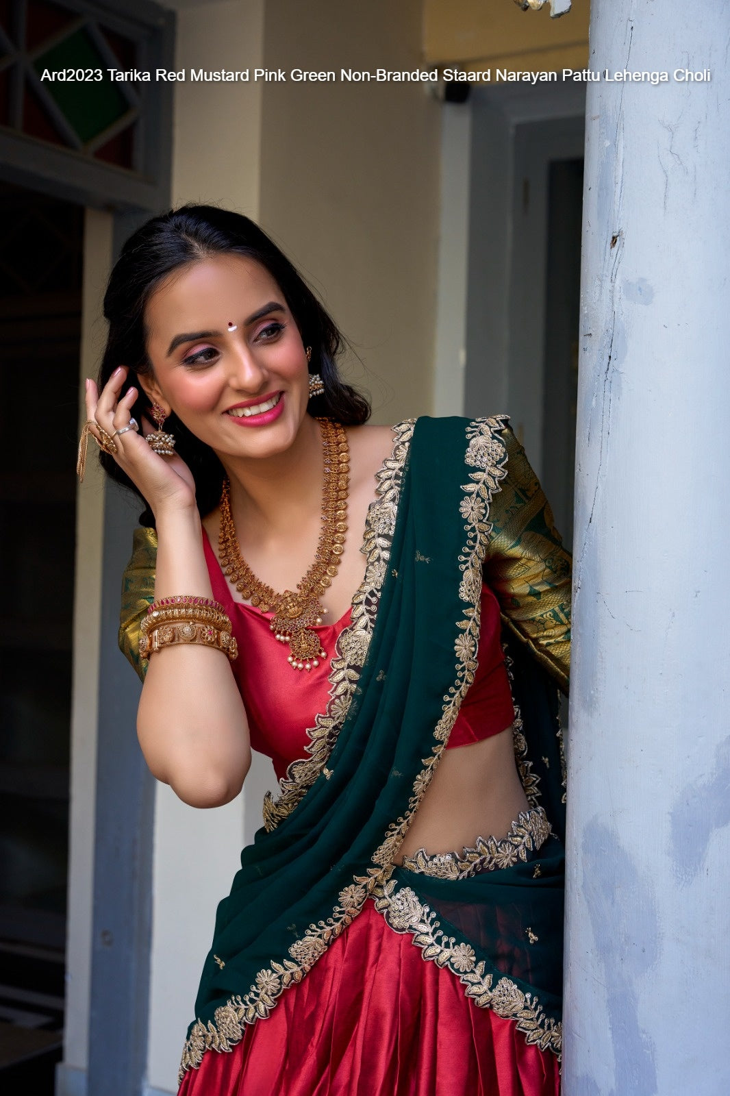 Ard2023 Tarika Red Mustard Pink Green Non-Branded Staard Narayan Pattu Lehenga Choli