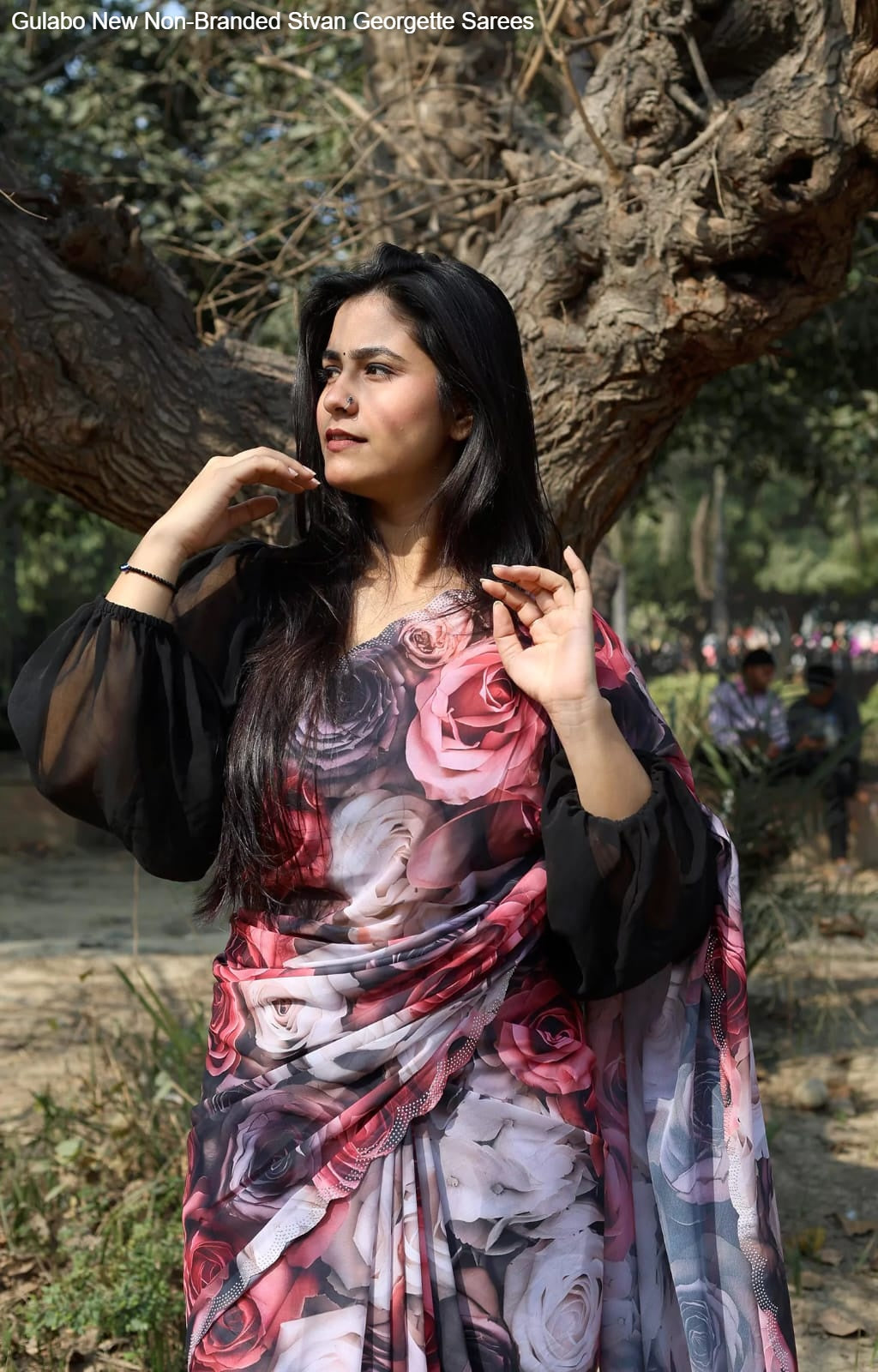 Gulabo New Non-Branded Stvan Georgette Sarees