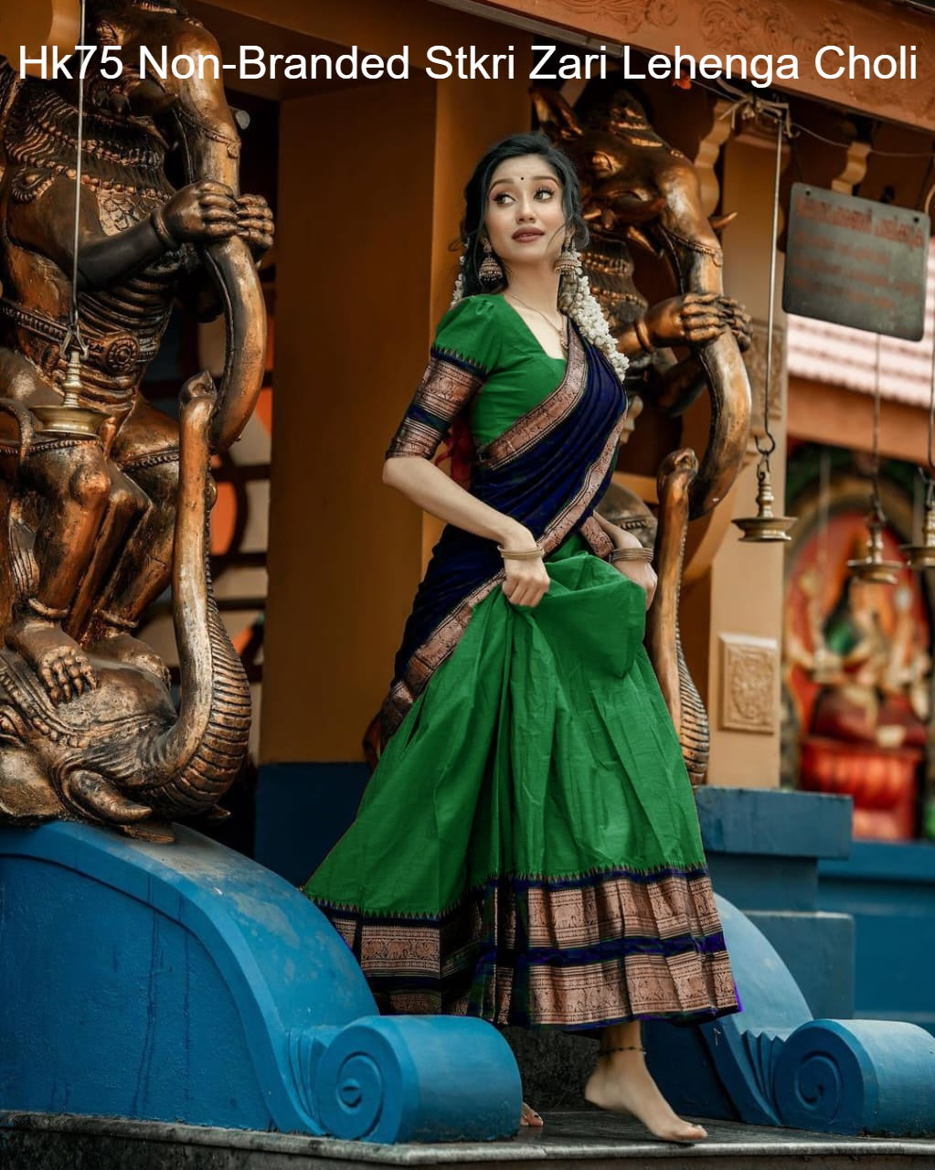Hk75 Non-Branded Stkri Zari Lehenga Choli