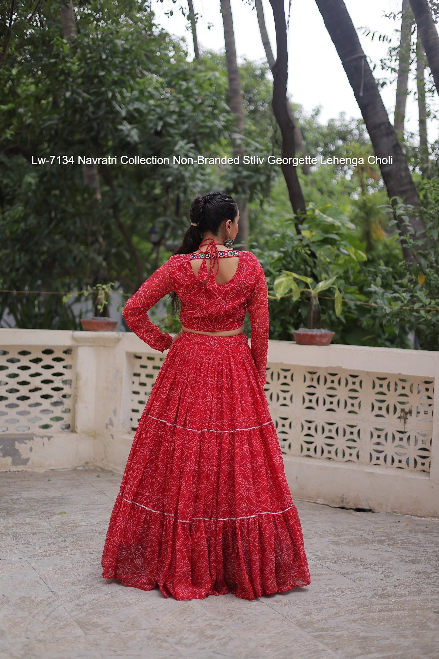Lw-7134 Navratri Collection Non-Branded Stliv Georgette Lehenga Choli