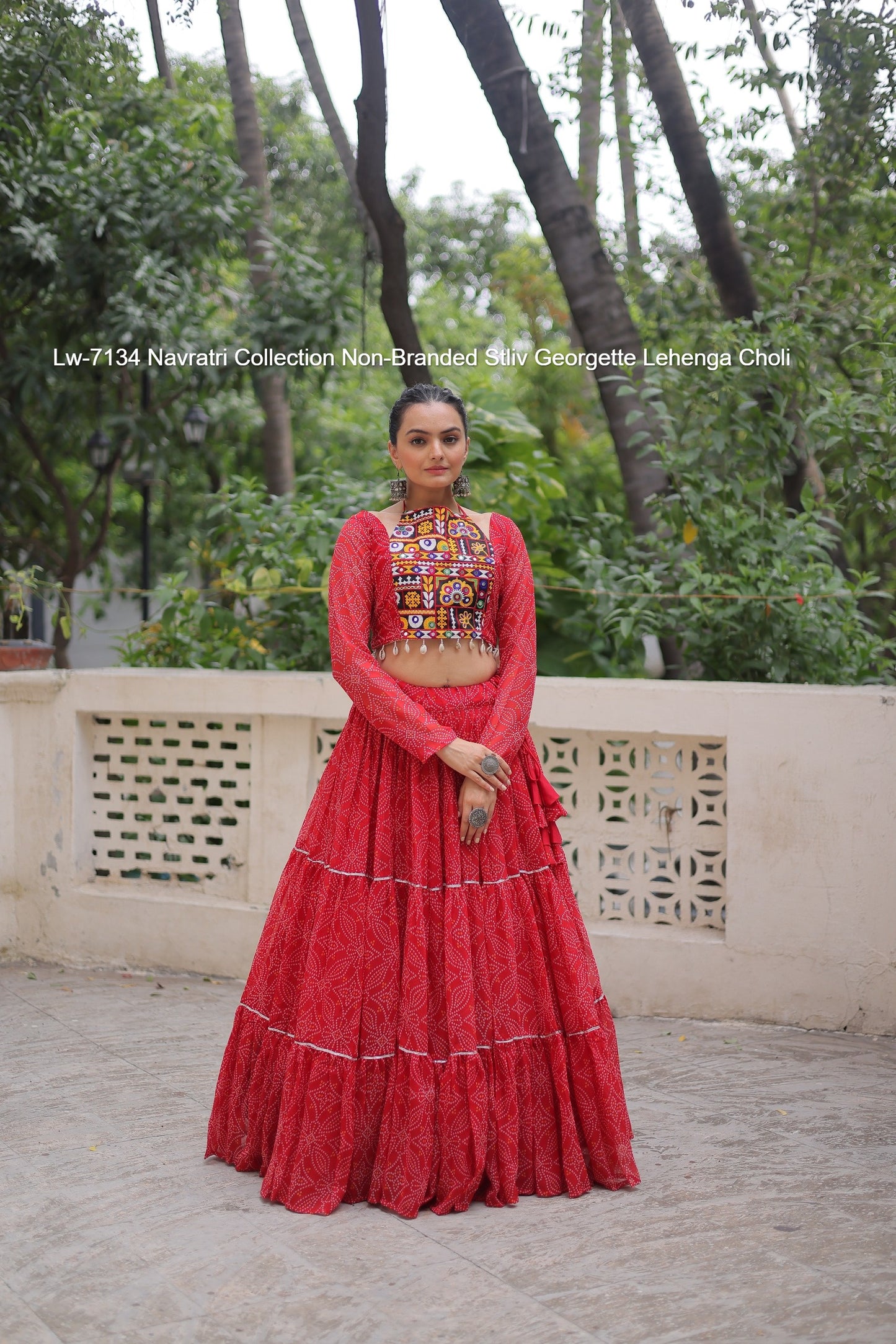 Lw-7134 Navratri Collection Non-Branded Stliv Georgette Lehenga Choli