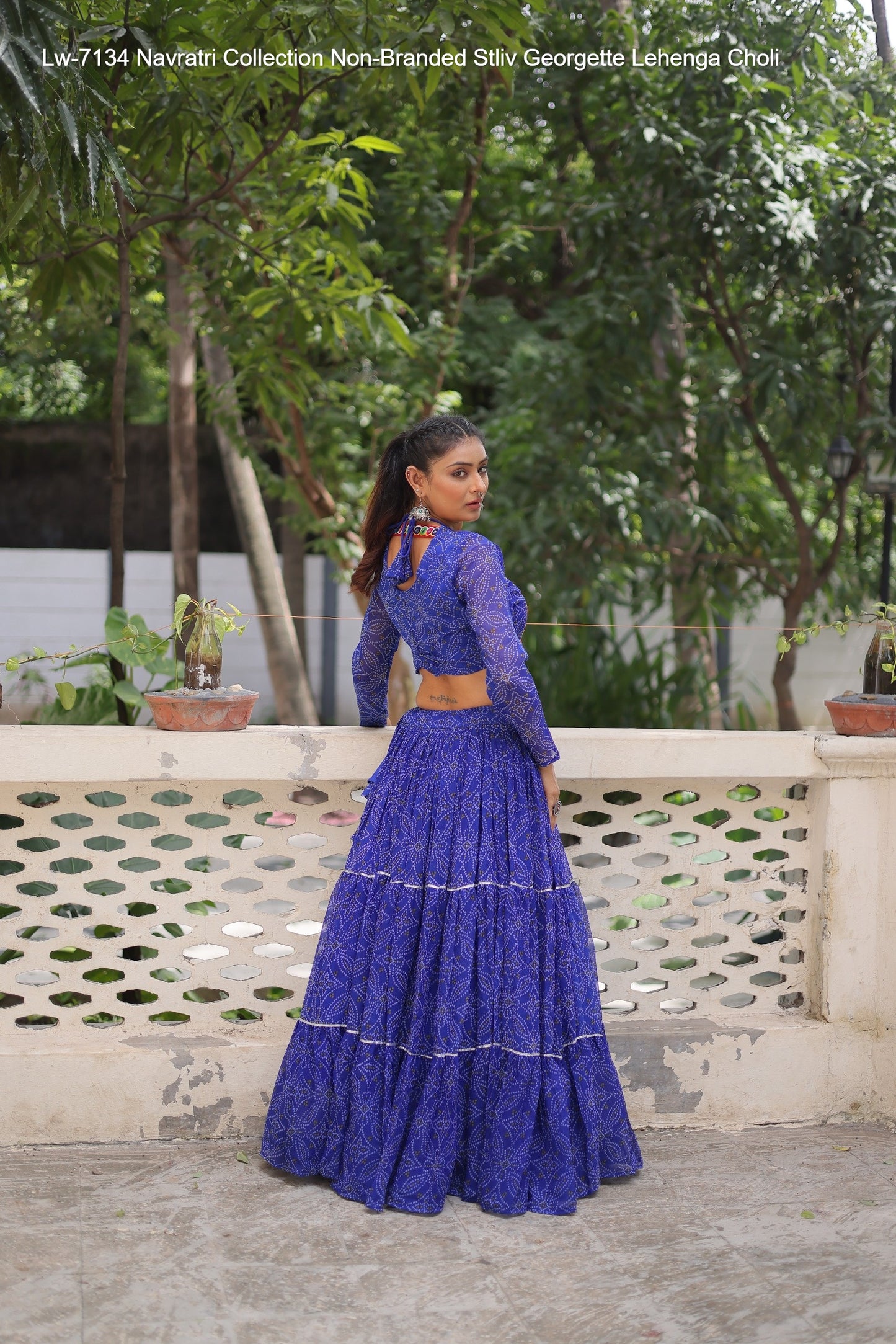 Lw-7134 Navratri Collection Non-Branded Stliv Georgette Lehenga Choli