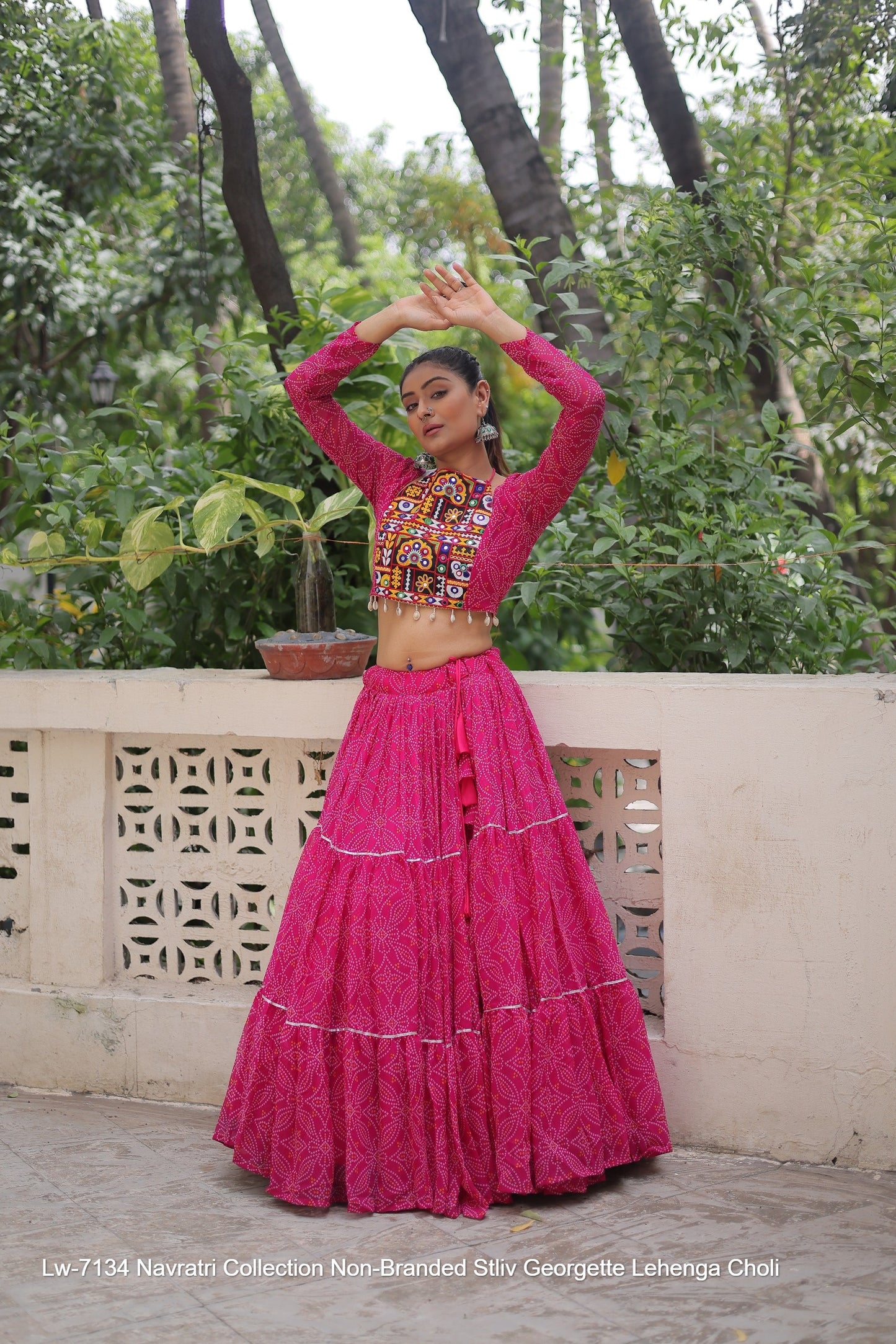 Lw-7134 Navratri Collection Non-Branded Stliv Georgette Lehenga Choli