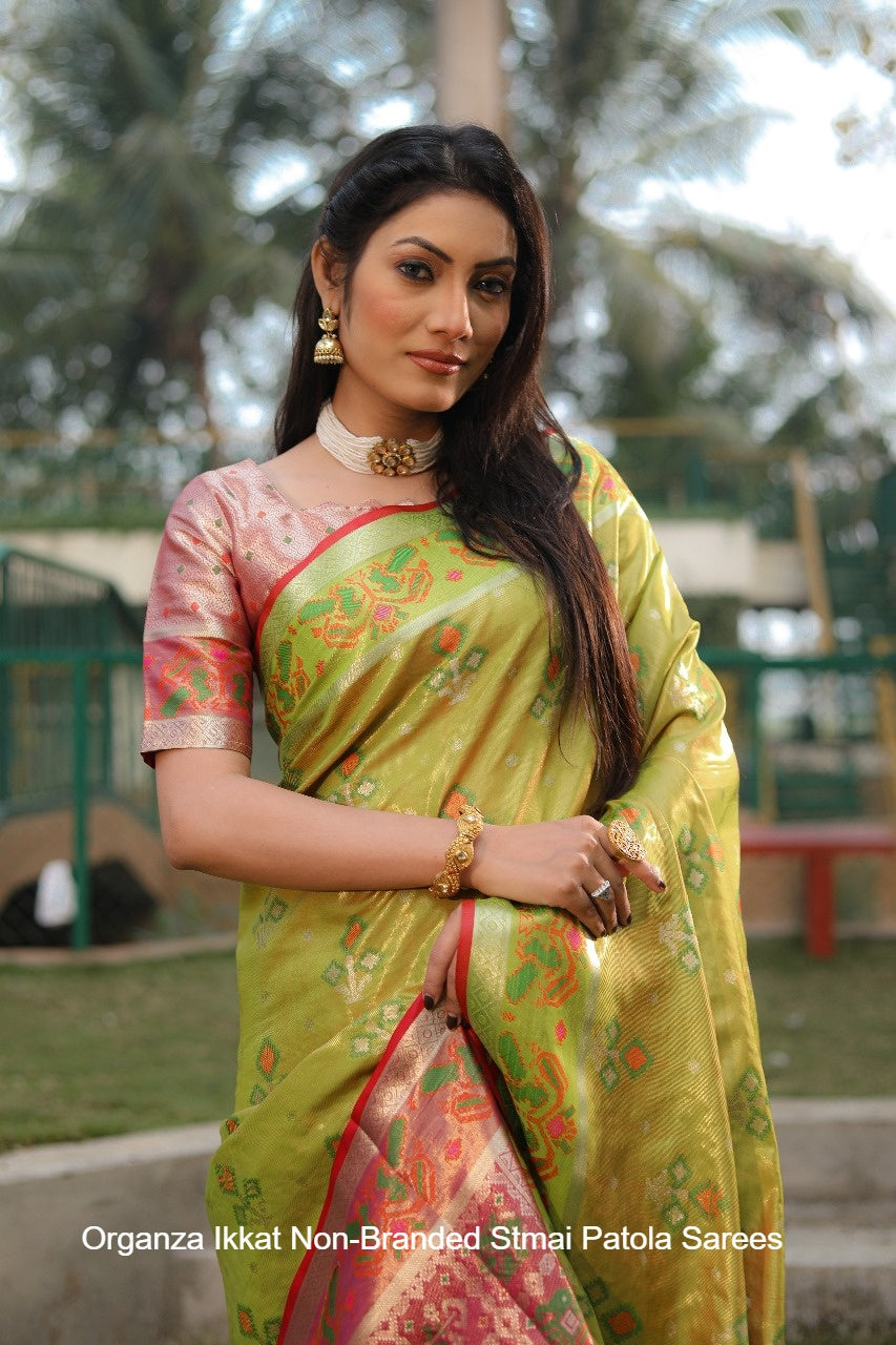 Organza Ikkat Non-Branded Stmai Patola Sarees