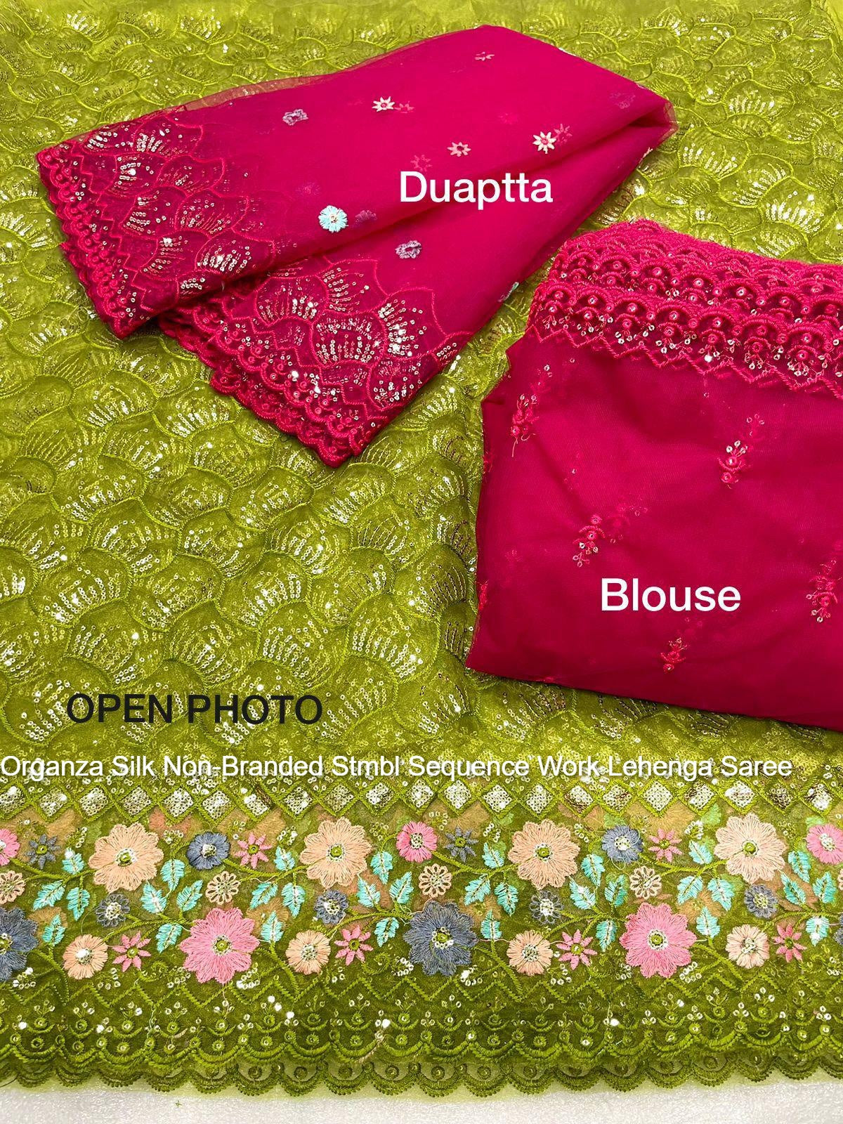 Organza Silk Non-Branded Stmbl Sequence Work Lehenga Saree