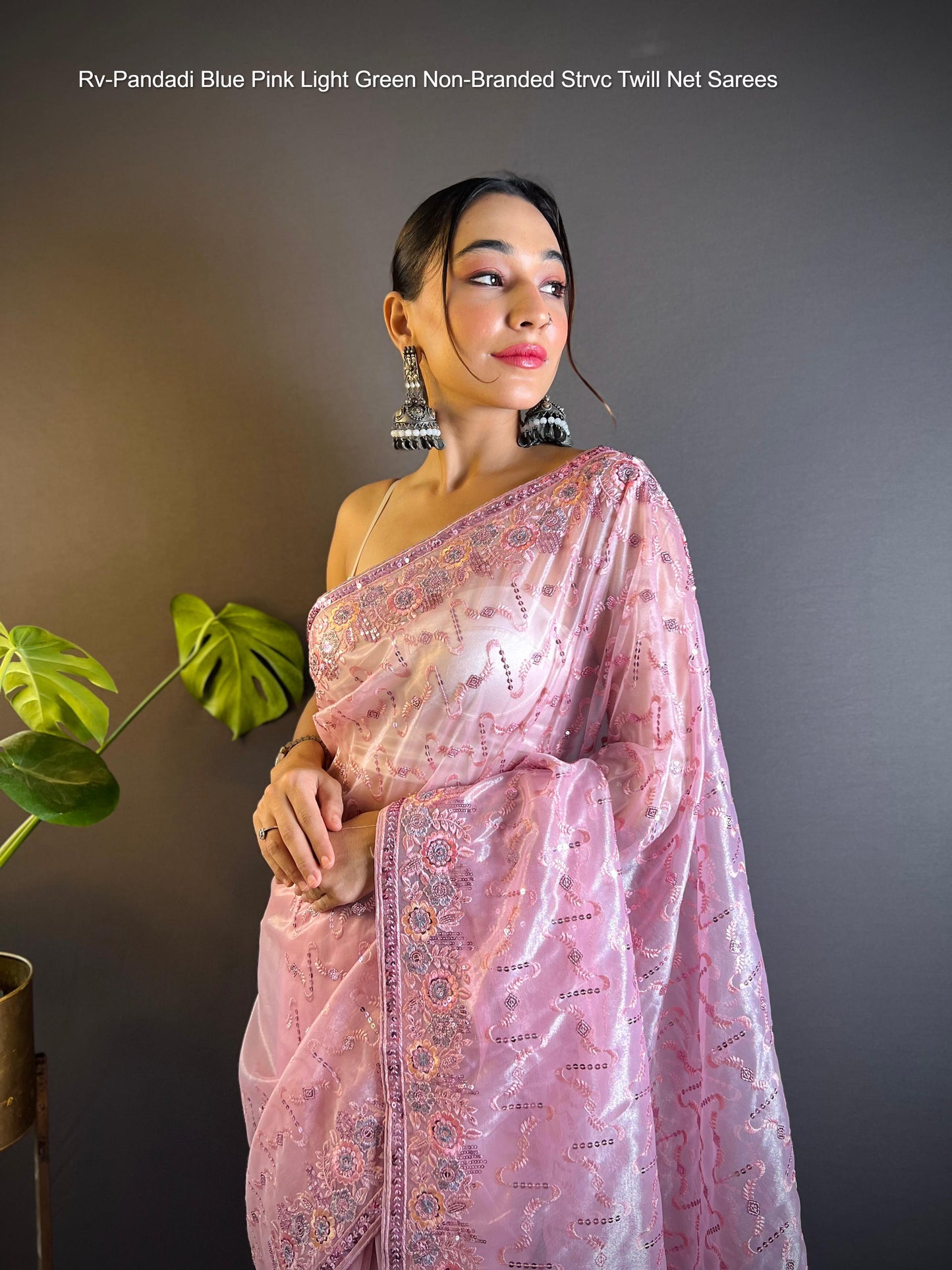 Rv-Pandadi Blue Pink Light Green Non-Branded Strvc Twill Net Sarees