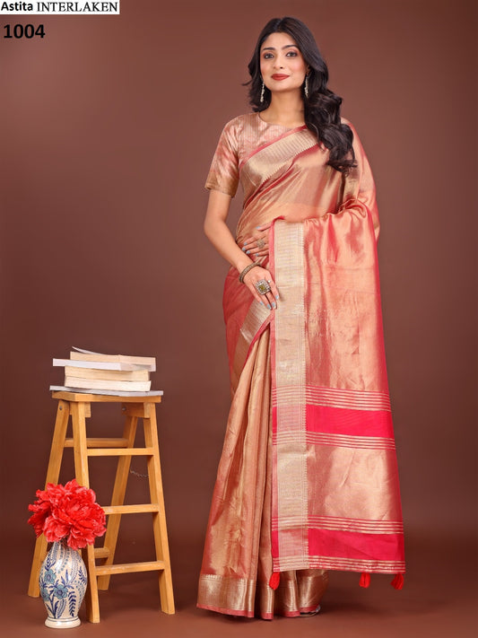 1004 Interlaken Astita Organza Sarees