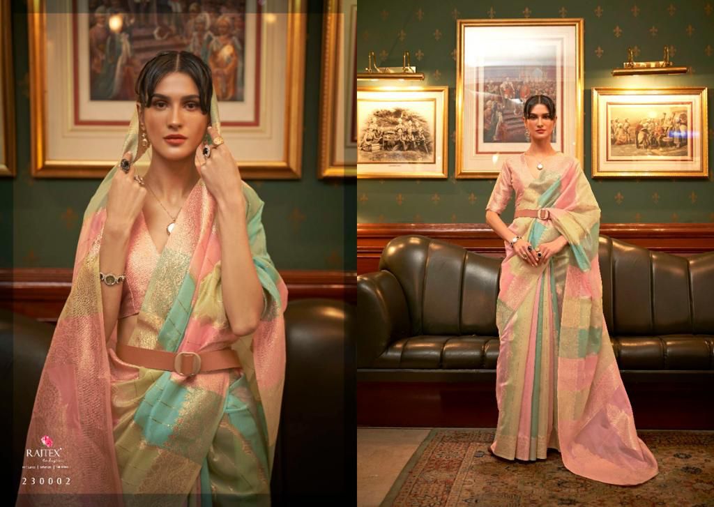 230002 Kenzo Rajtex Organza Sarees