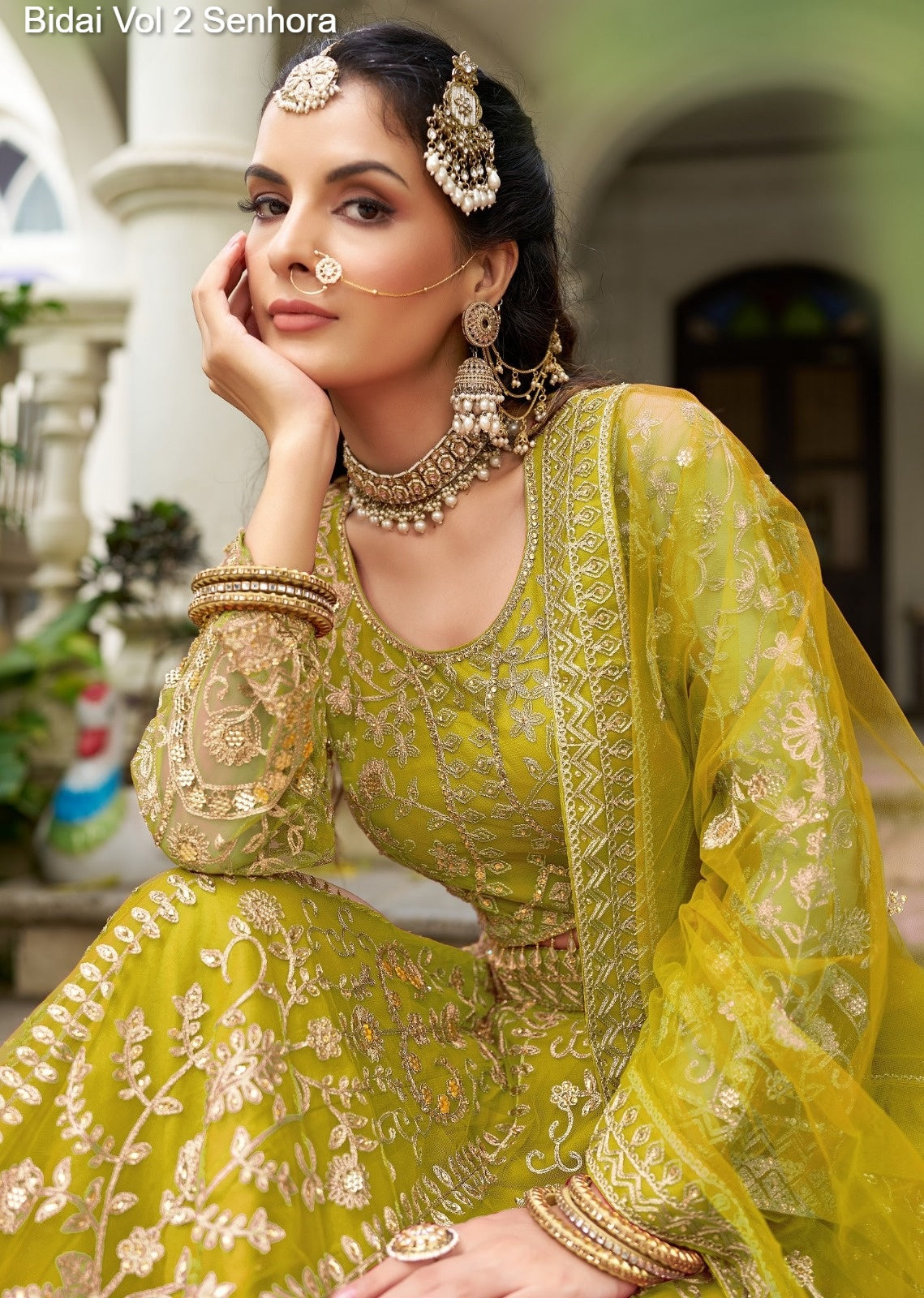 4007-B Bidai Vol 2 Senhora Butterfly Net Lehenga Choli