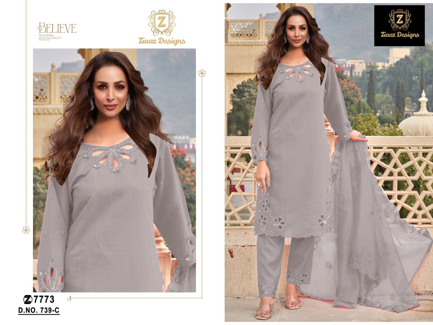 739C Ziaaz Designs Handwork Pakistani Salwar Suits