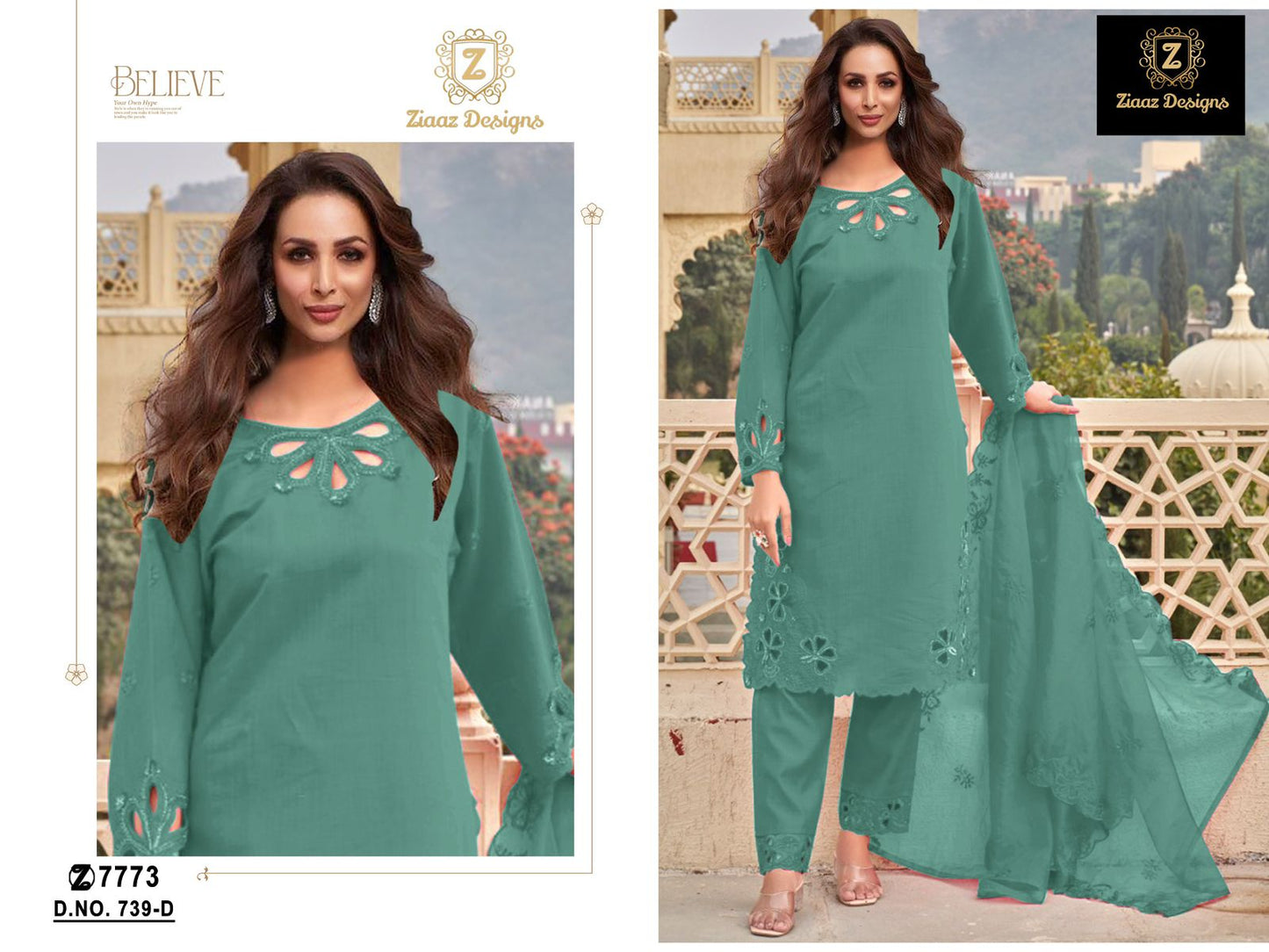 739D Ziaaz Designs Handwork Pakistani Salwar Suits