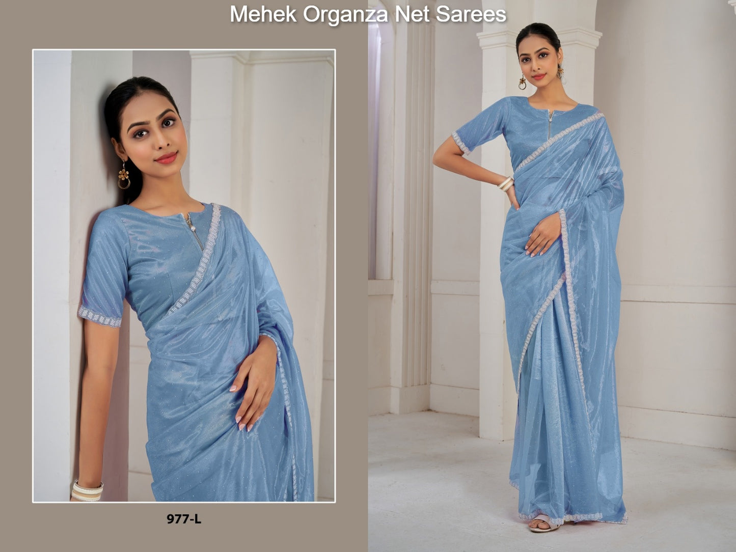 977L Mehek Organza Net Sarees