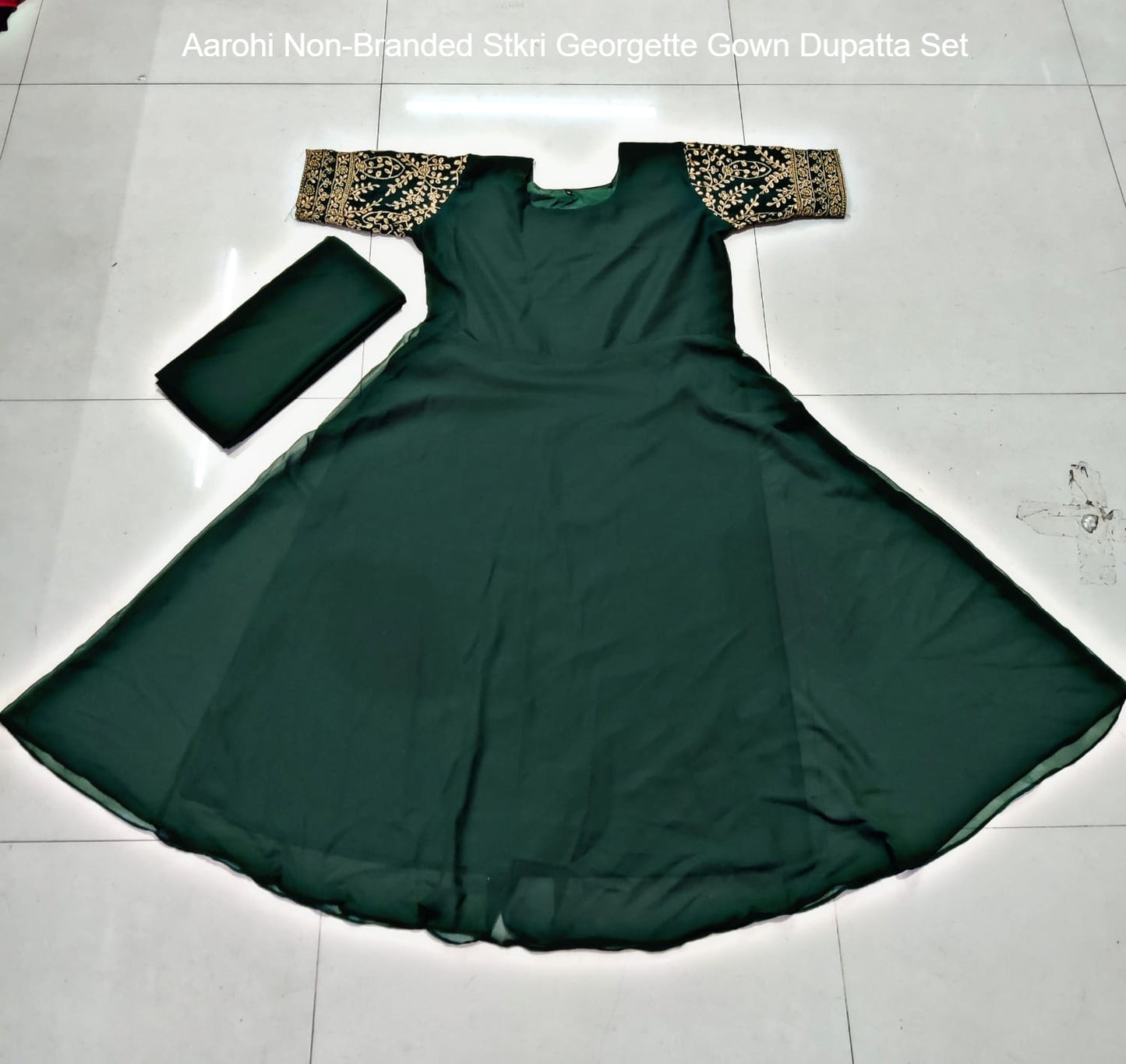 Aarohi Non-Branded Stkri Georgette Gown Dupatta Set