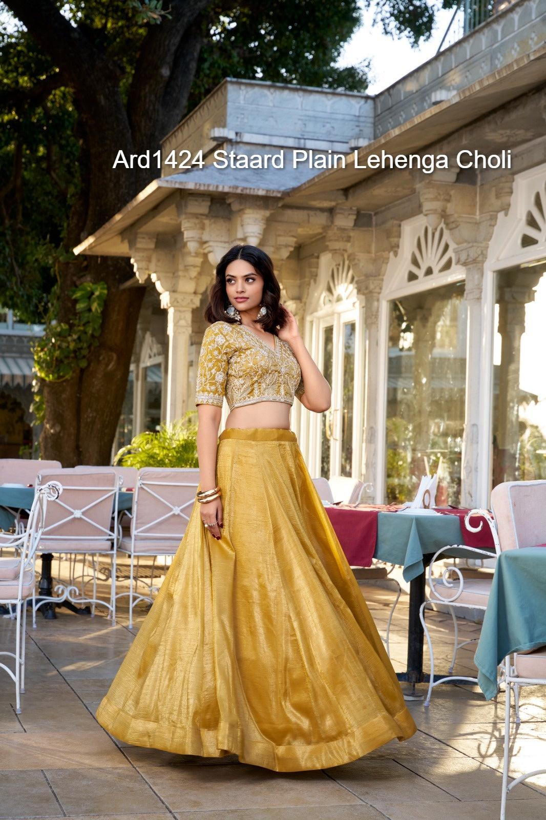 Ard1424 Staard Plain Lehenga Choli