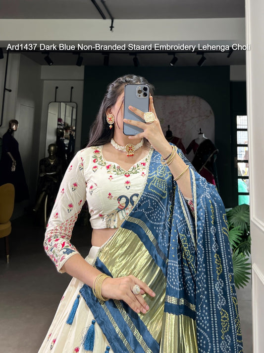 Ard1437 Dark Blue Non-Branded Staard Embroidery Lehenga Choli