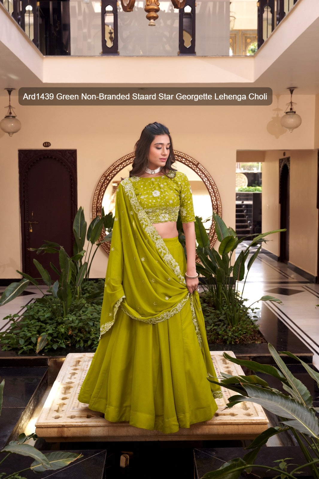 Ard1439 Green Non-Branded Staard Star Georgette Lehenga Choli