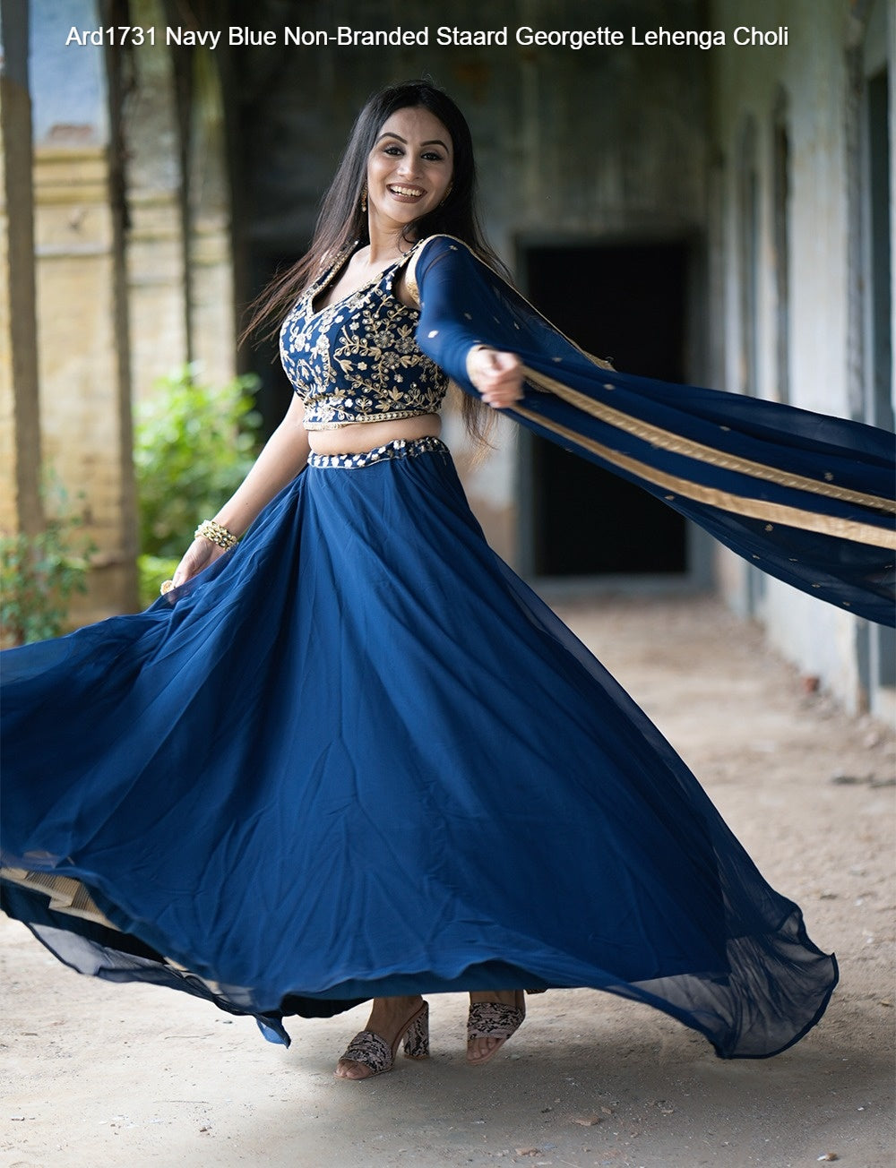 Ard1731 Navy Blue Non-Branded Staard Georgette Lehenga Choli