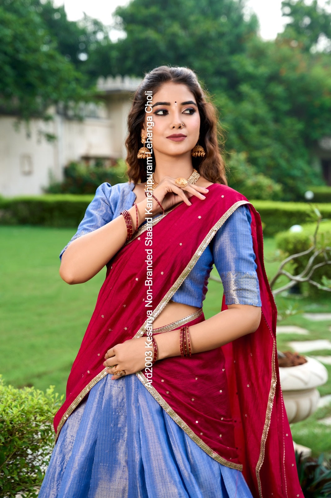 Ard2003 Kesariya Non-Branded Staard Kanchipuram Lehenga Choli