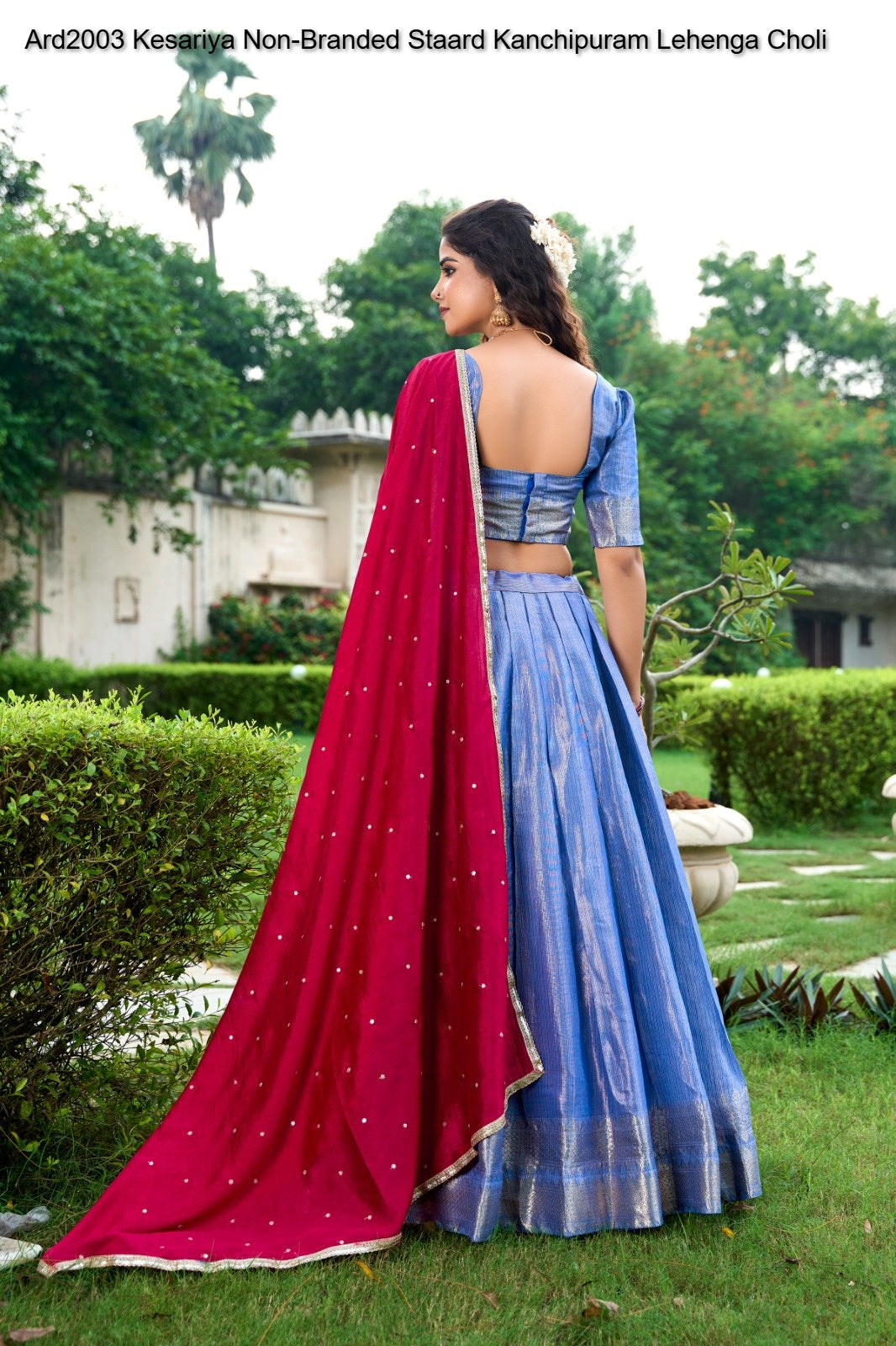 Ard2003 Kesariya Non-Branded Staard Kanchipuram Lehenga Choli