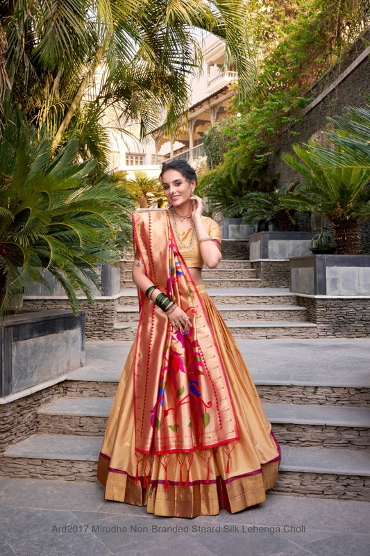 Ard2017 Mirudha Non-Branded Staard Silk Lehenga Choli