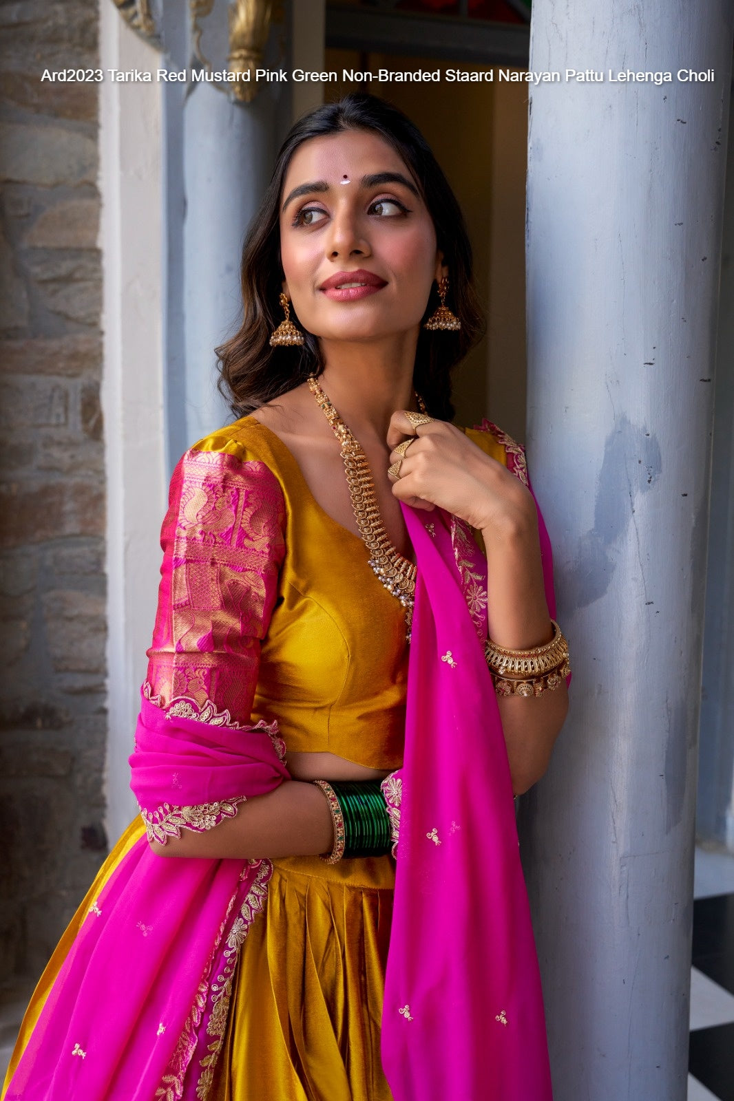 Ard2023 Tarika Red Mustard Pink Green Non-Branded Staard Narayan Pattu Lehenga Choli