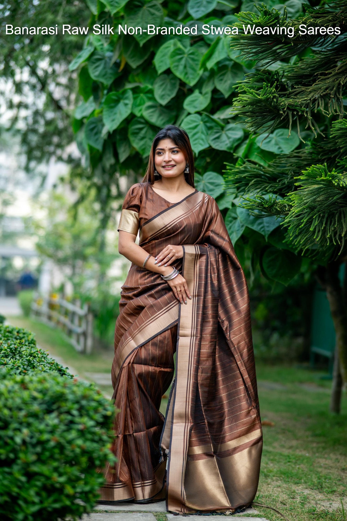 Banarasi Raw Silk Non-Branded Stwea Weaving Sarees