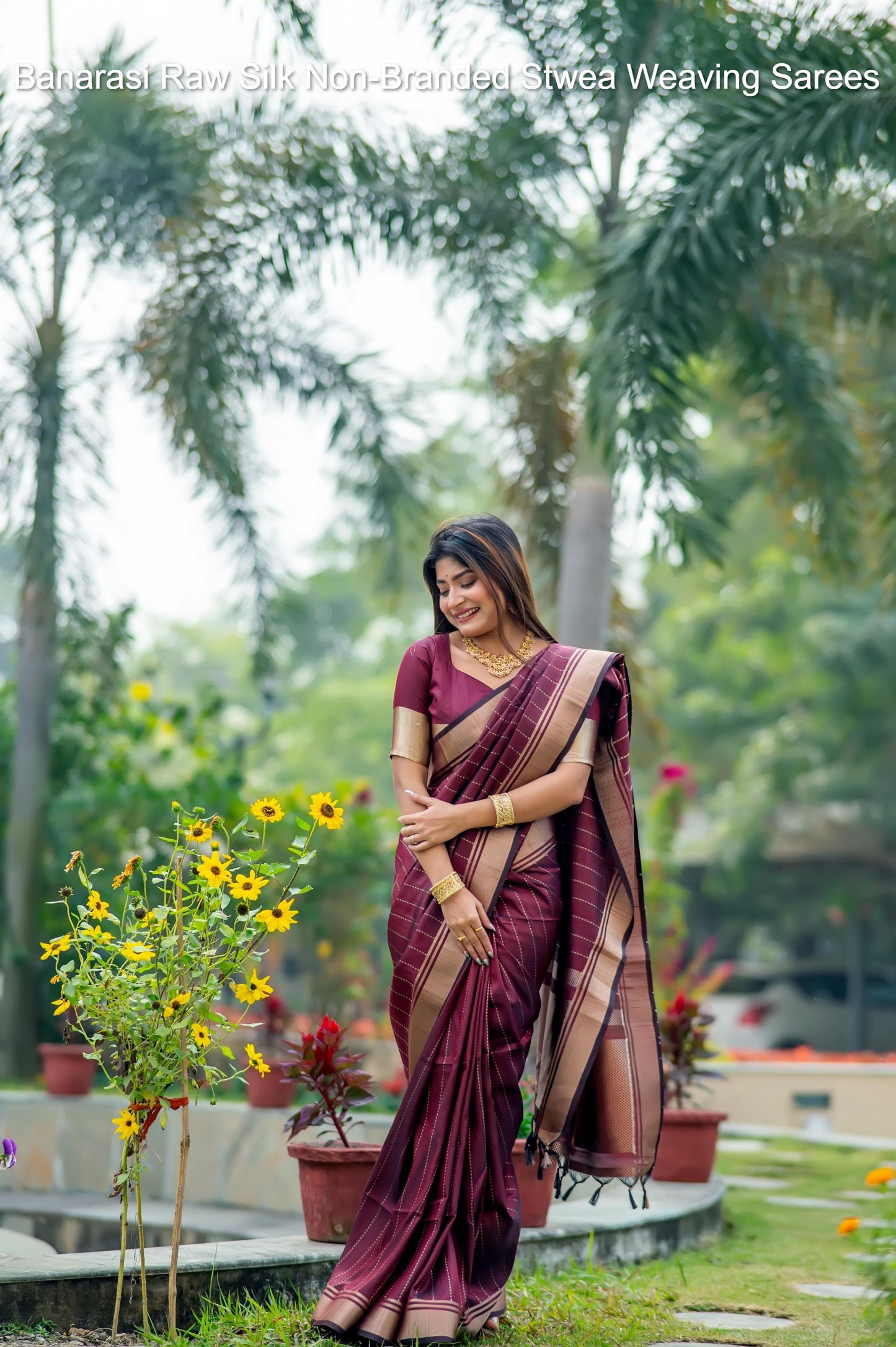 Banarasi Raw Silk Non-Branded Stwea Weaving Sarees