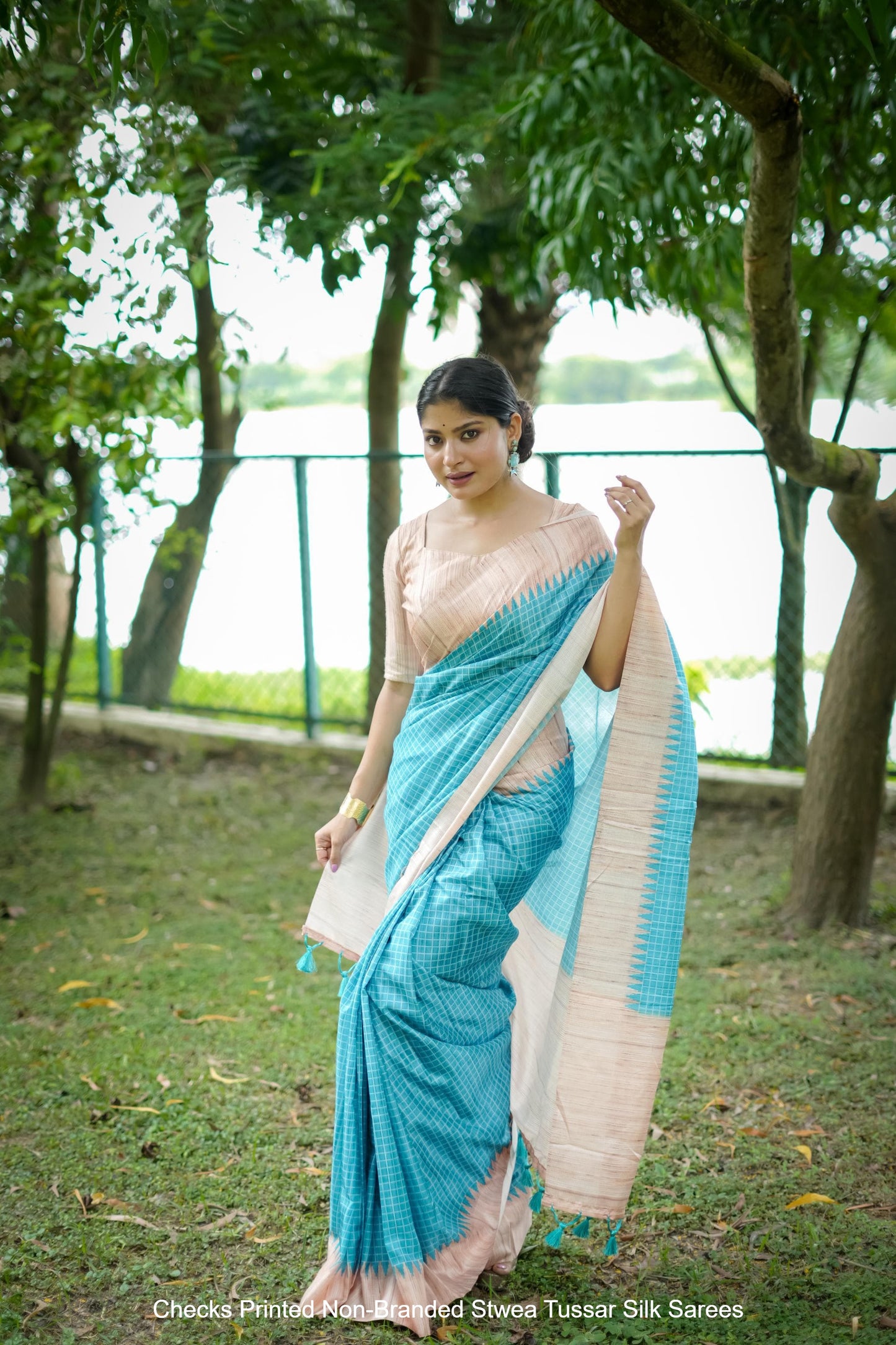 Checks Printed Non-Branded Stwea Tussar Silk Sarees