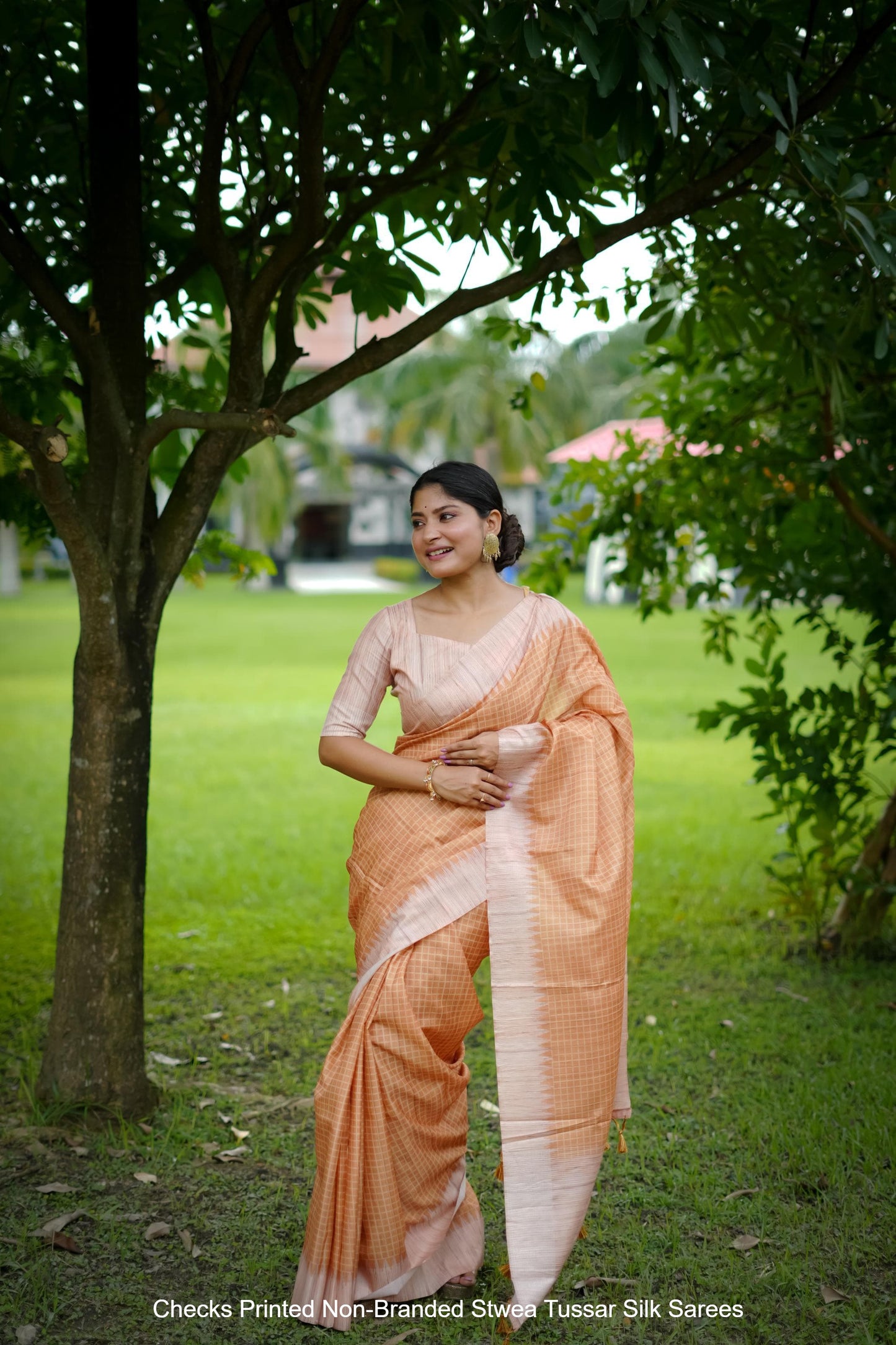 Checks Printed Non-Branded Stwea Tussar Silk Sarees