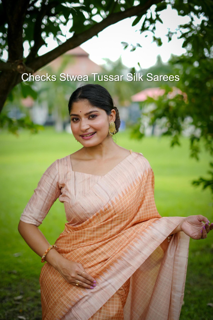 Checks Stwea Tussar Silk Sarees