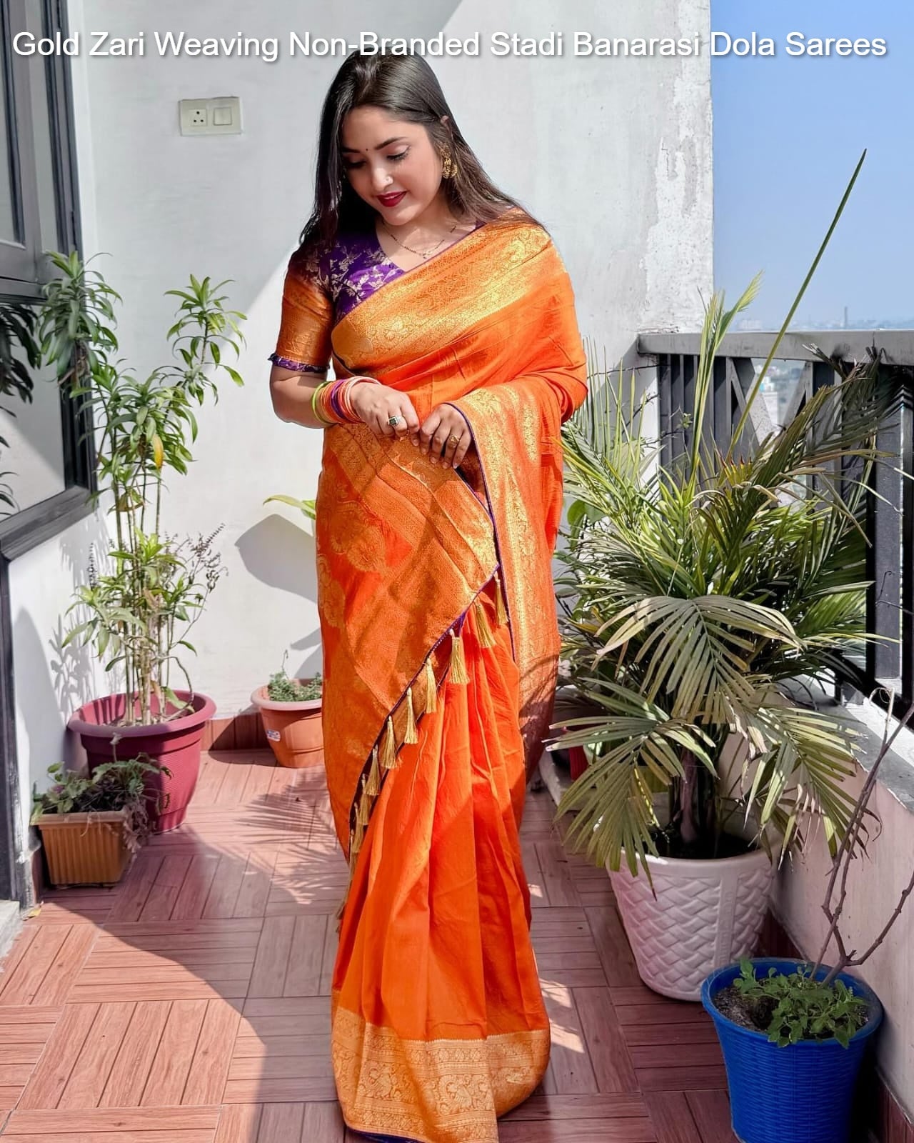 Gold Zari Weaving Non-Branded Stadi Banarasi Dola Sarees